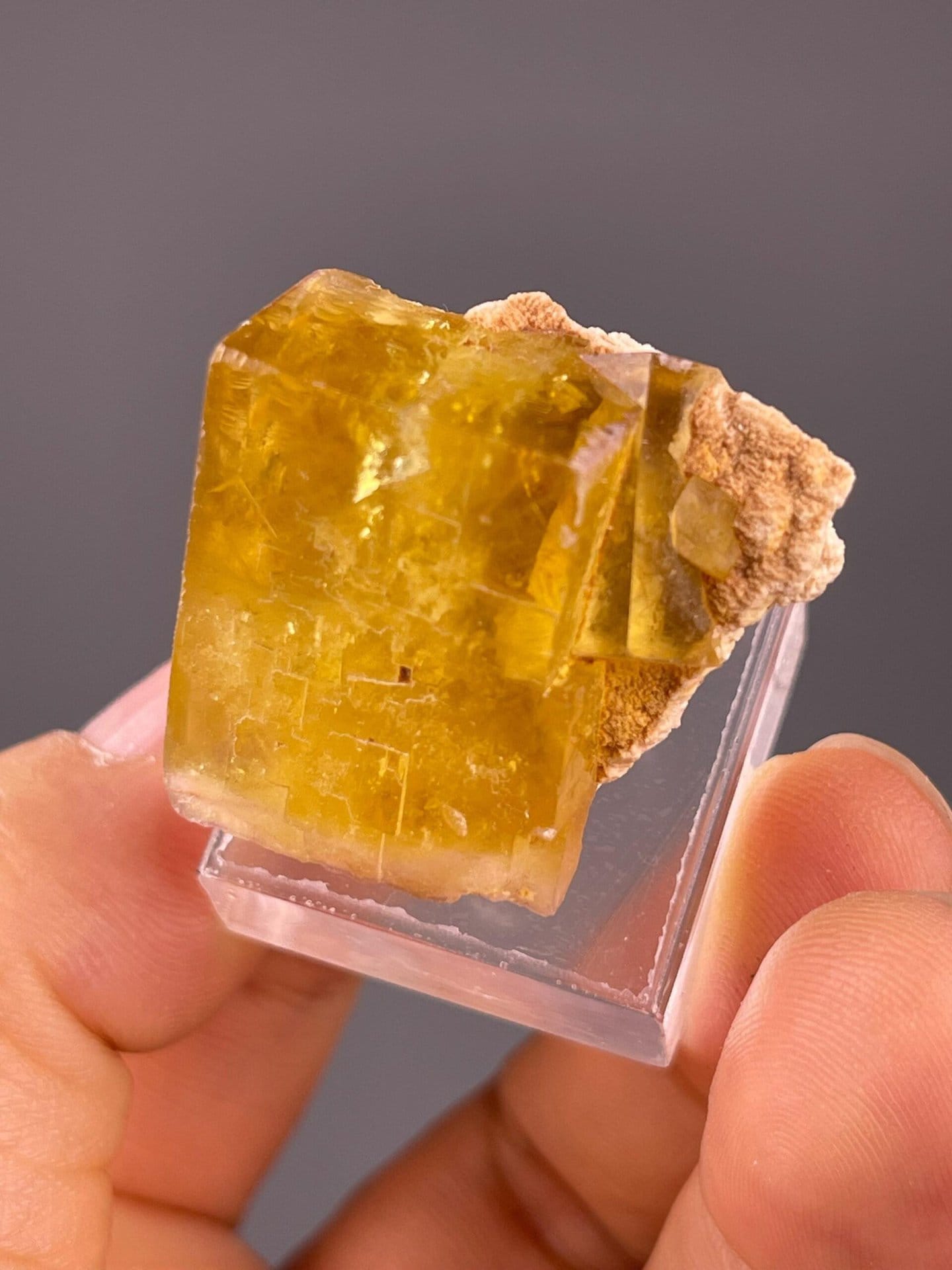 Yellow fluorite cube displaying excellent vitreous luster