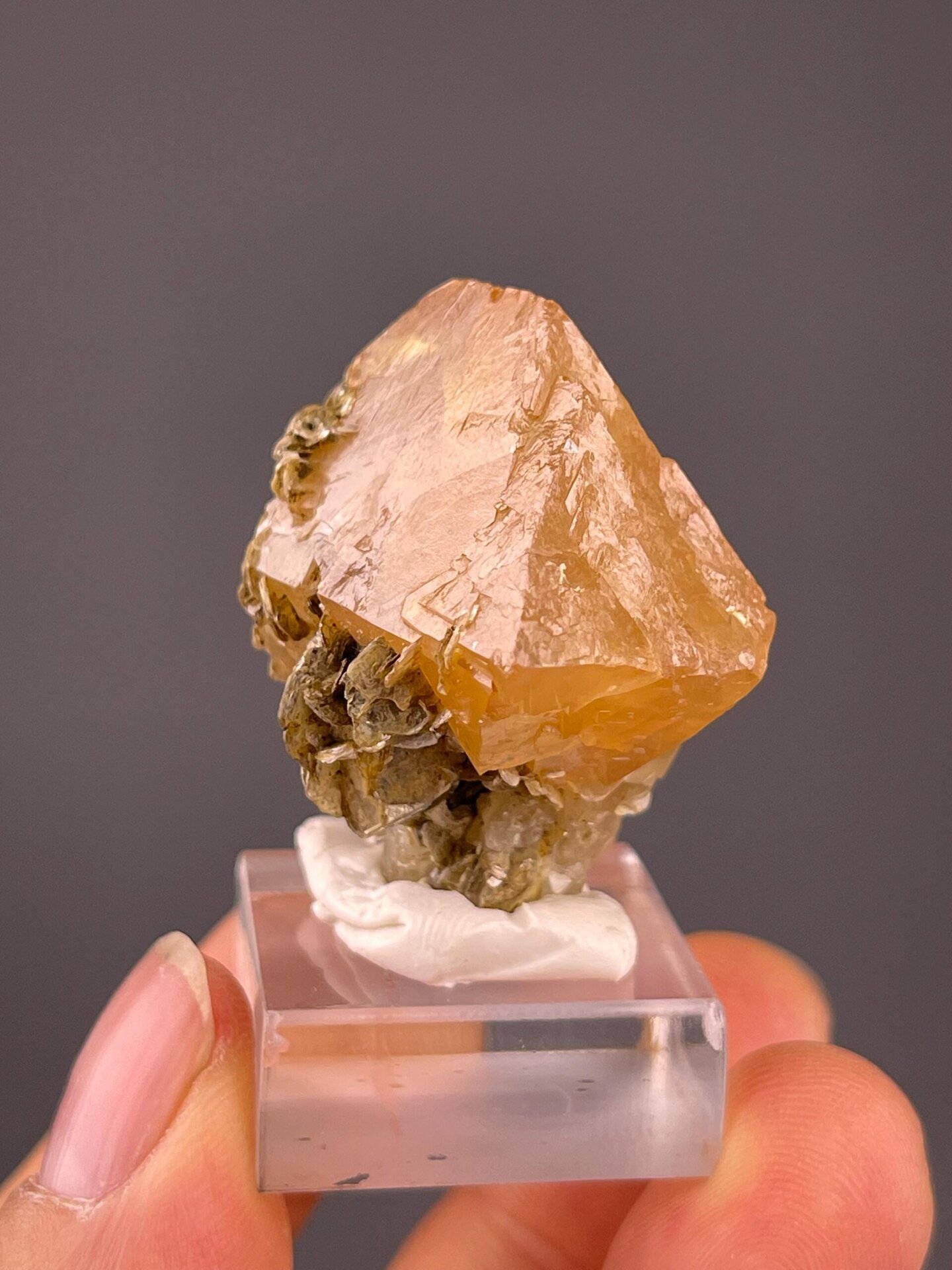 Top view of scheelite crystal on mica, Sichuan province