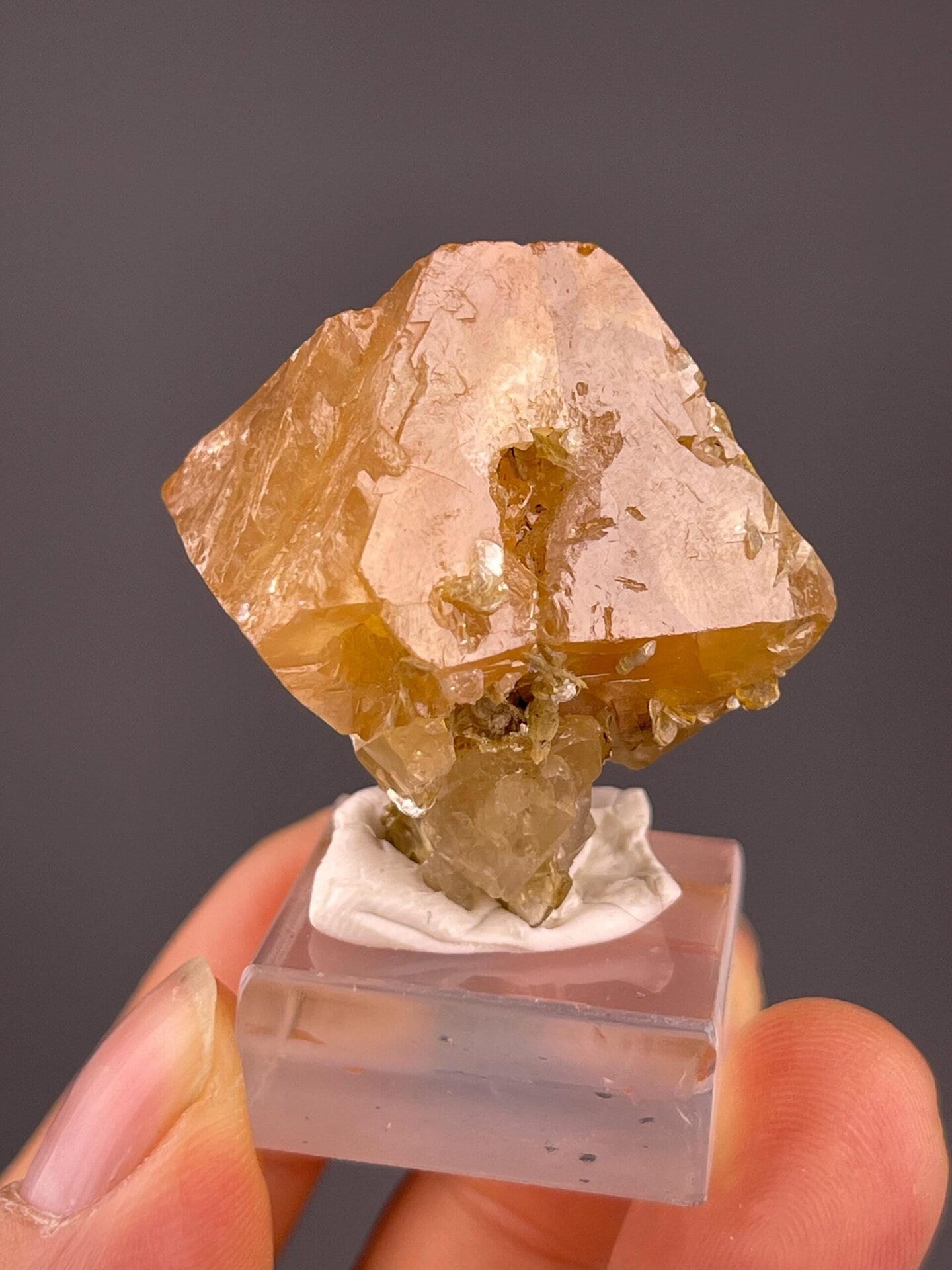 Close-up of scheelite tetragonal crystal faces on mica