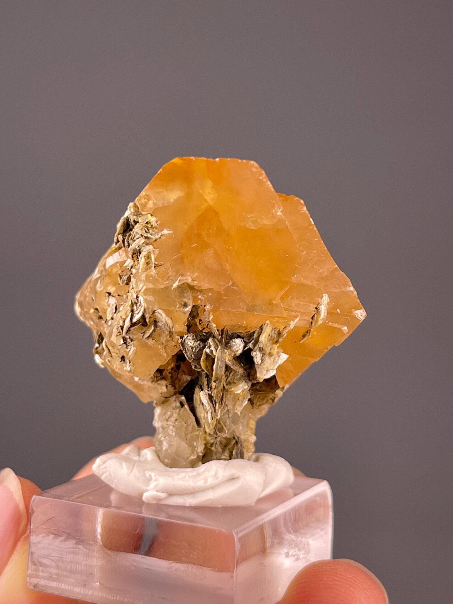 Honey-golden scheelite displaying adamantine luster on mica