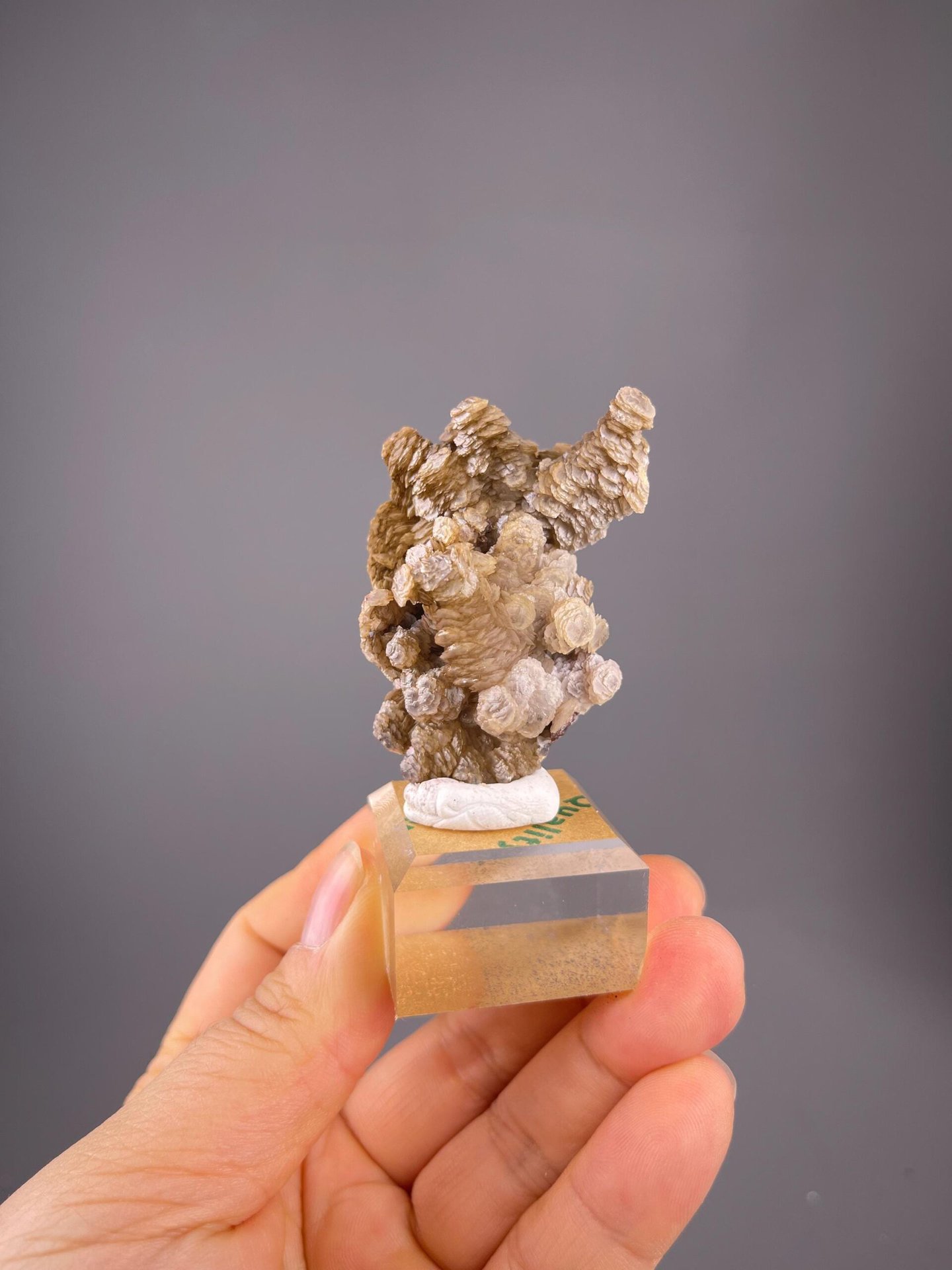 Fan-shaped calcite crystal formation on natural matrix