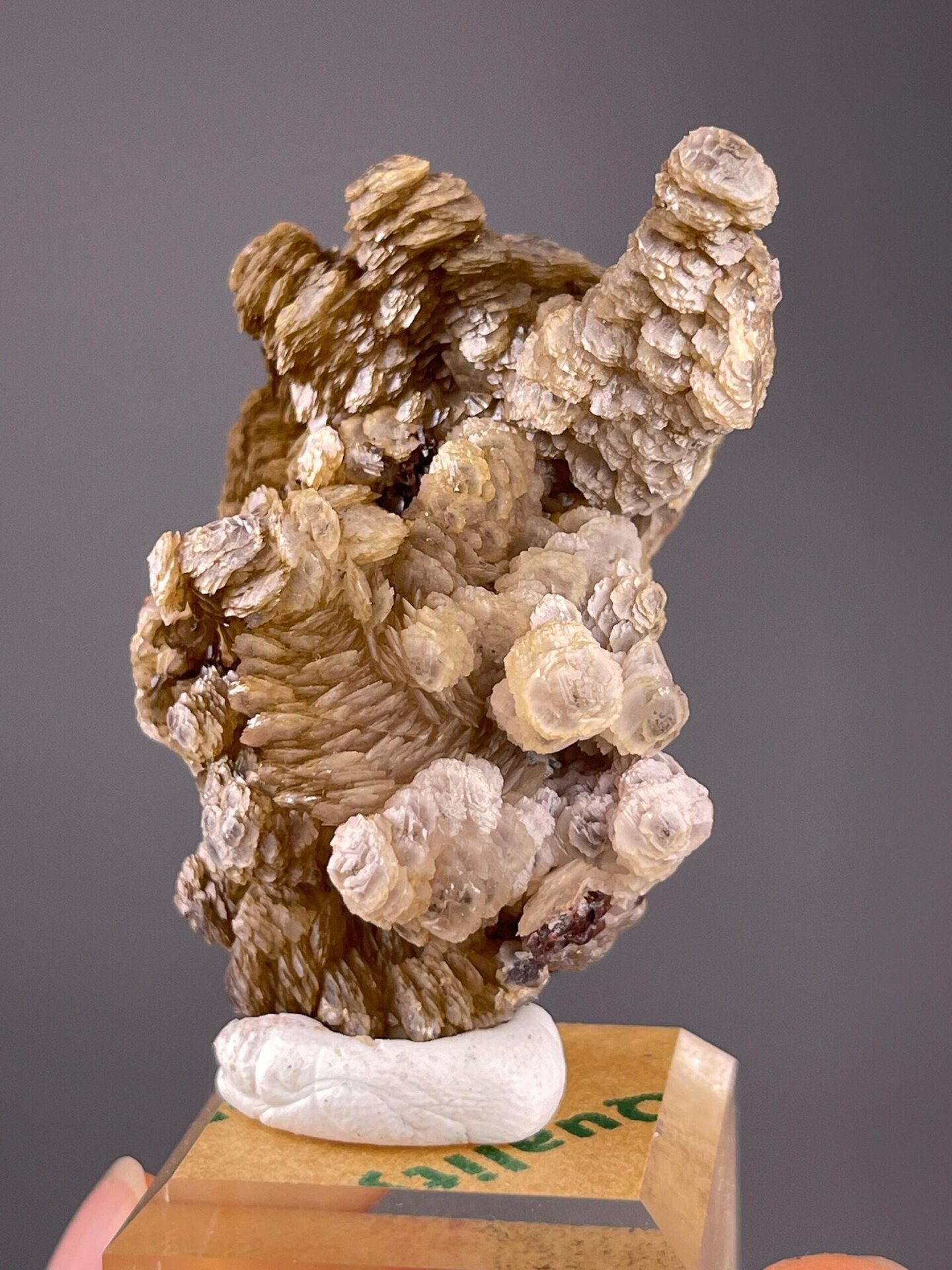 Translucent calcite paddle habit showing trigonal structure