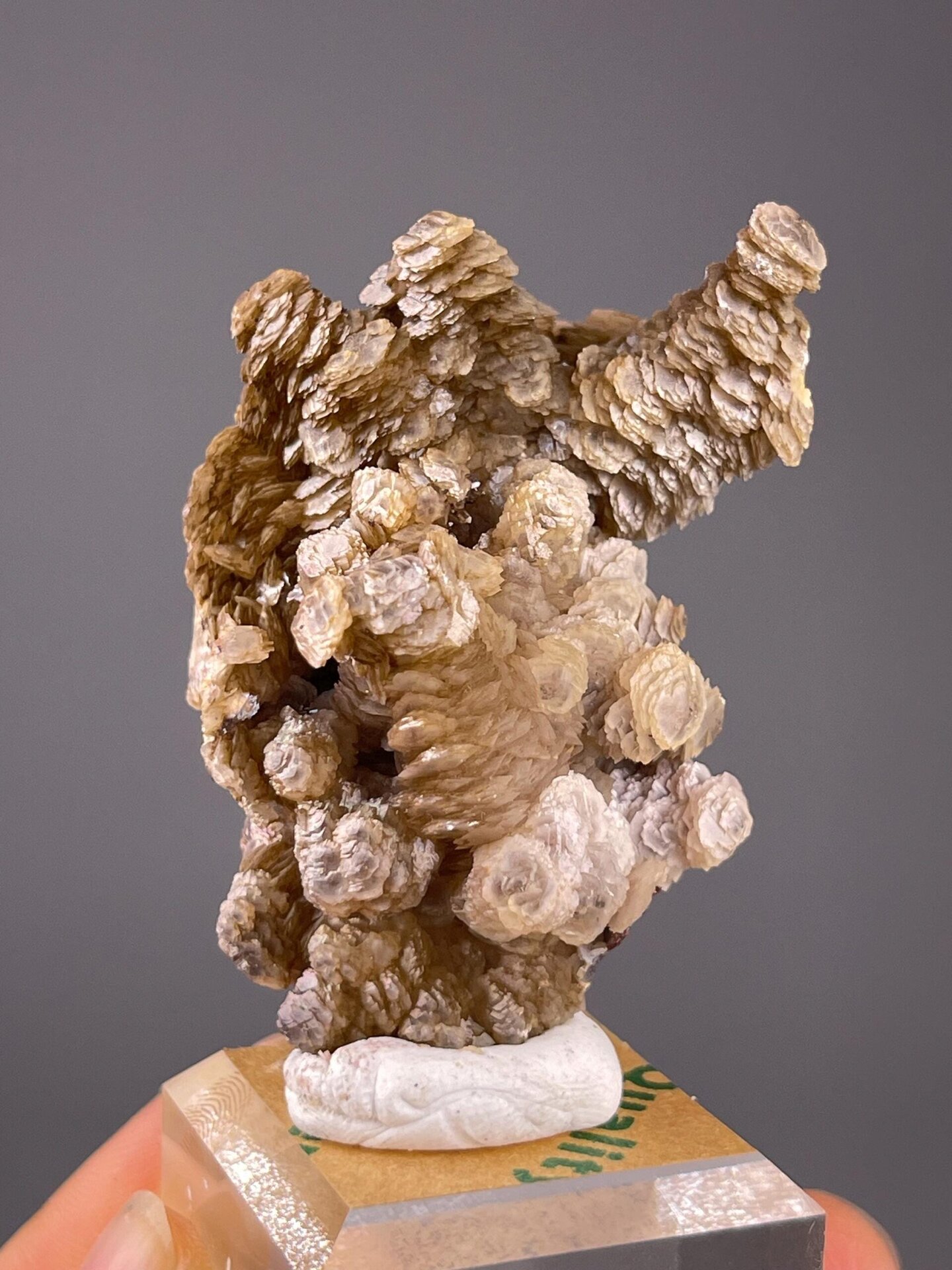 Side view of paddle calcite cluster, Yaogangxian Mine