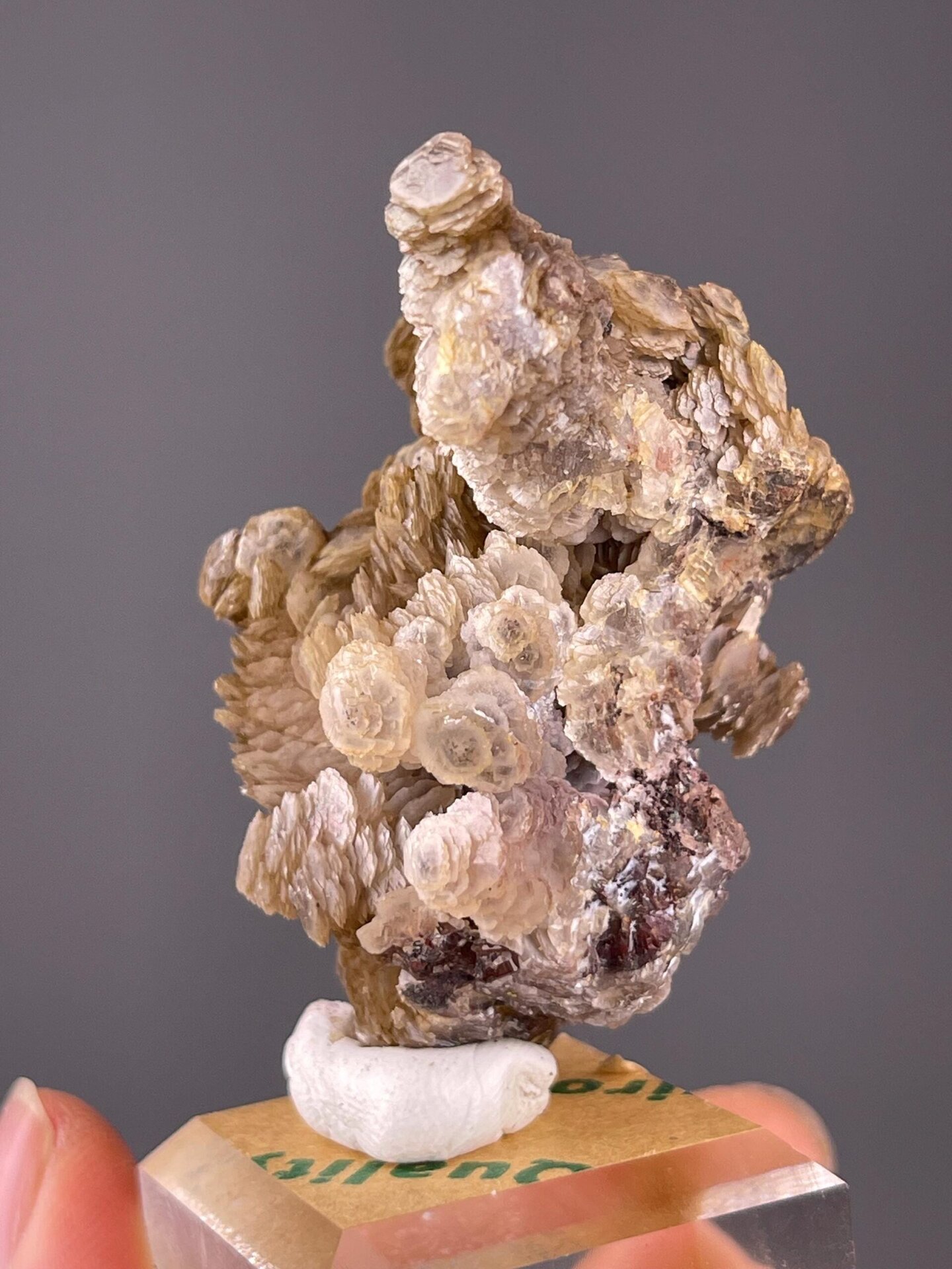 Light transmission through transparent paddle calcite crystals