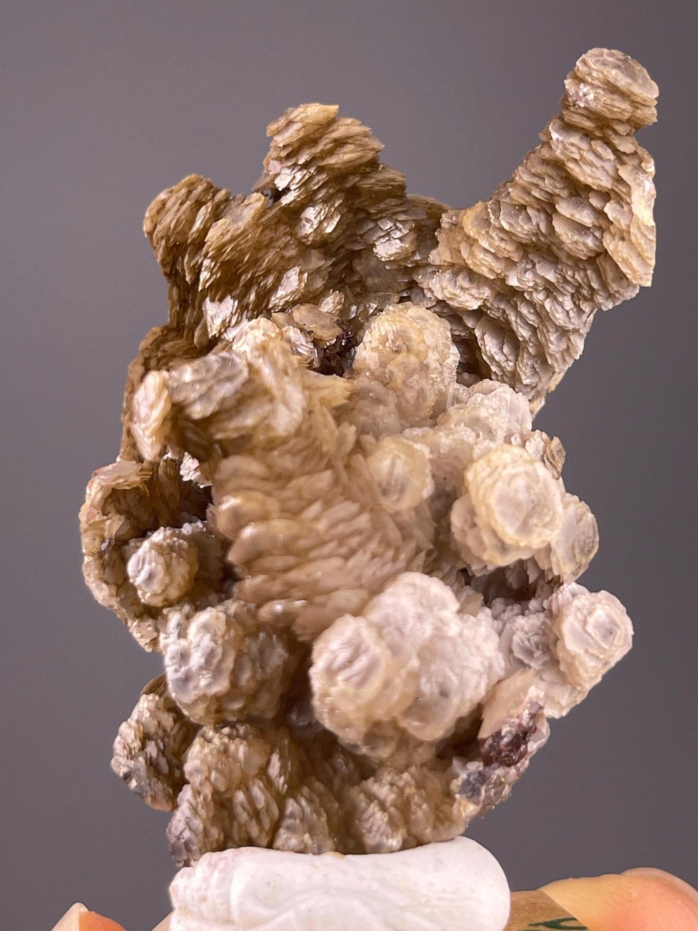 Top view of paddle calcite showing fan crystal formation