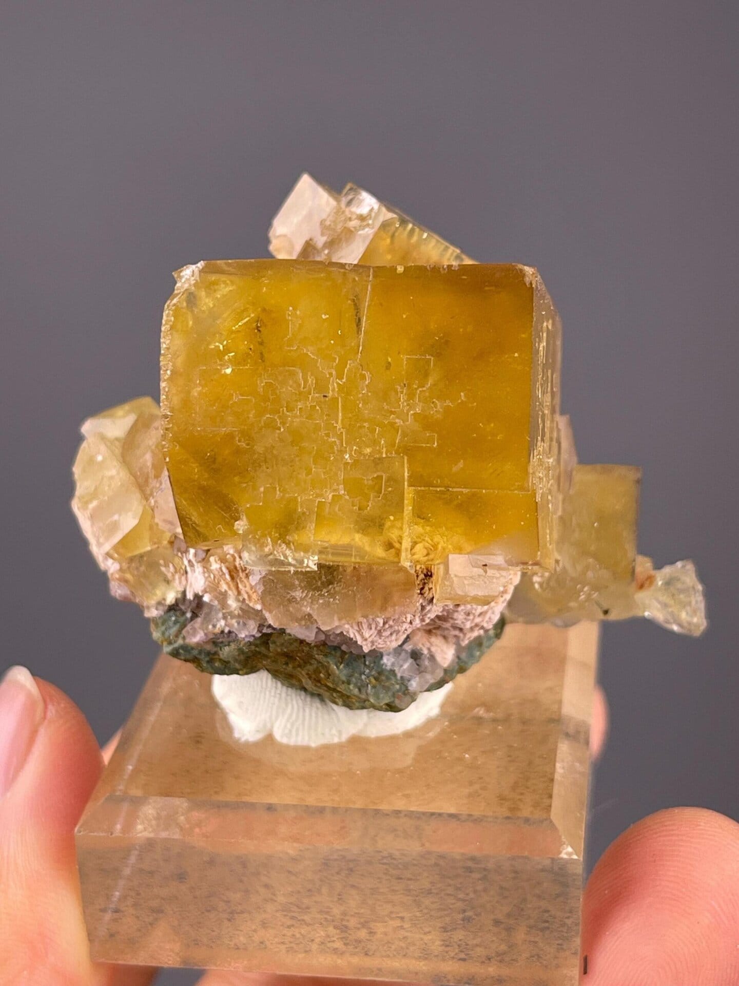 Side view of yellow fluorite cluster showing cubic habit