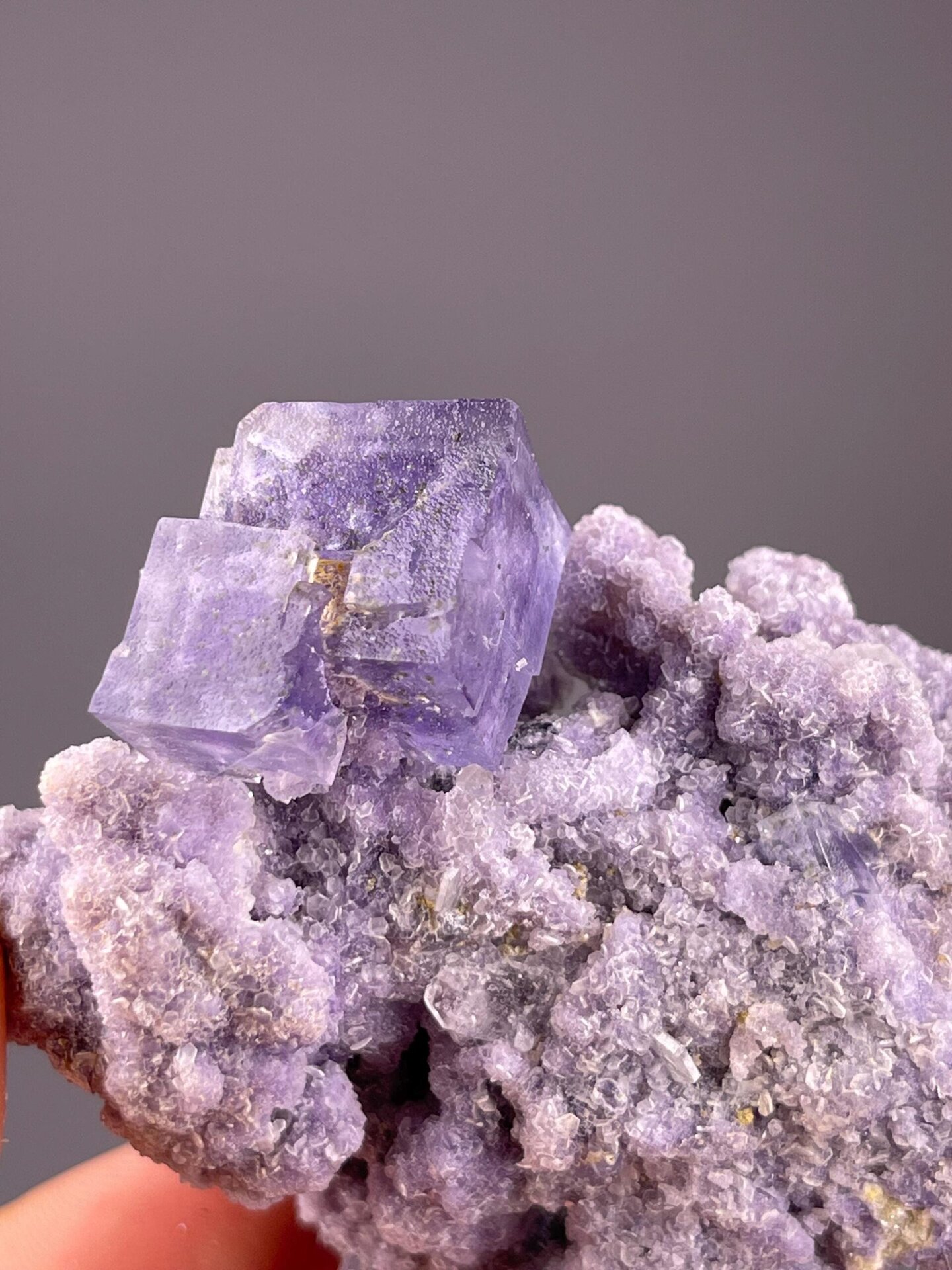 Purple CaF₂ fluorite cluster with silver mica blades