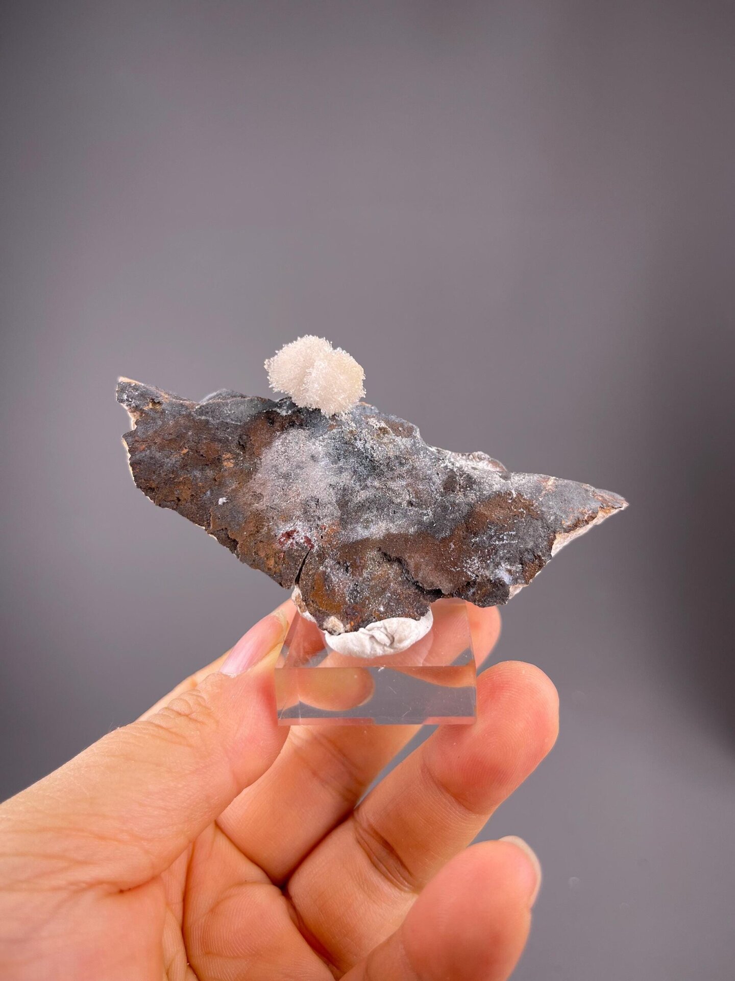 Gypsum flower formation on matrix from Guizhou, China