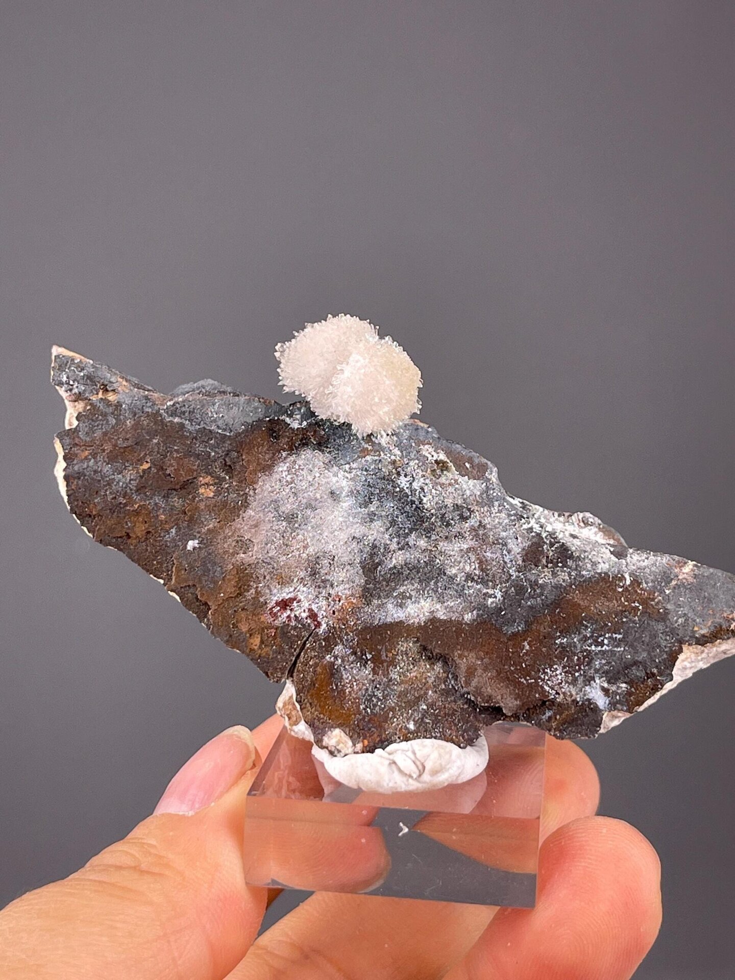 Gypsum flower on matrix measuring 3.1×1.2×2.1 inches