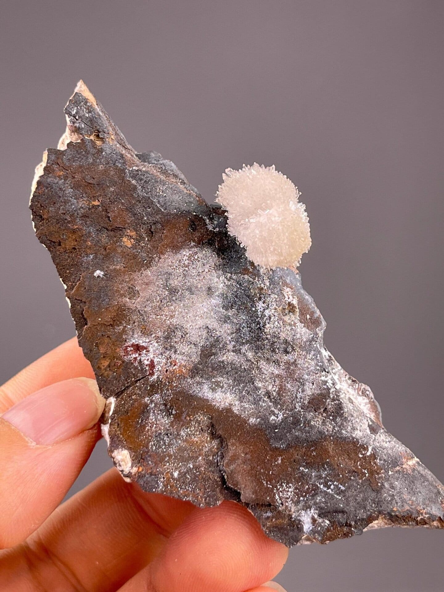 CaSO₄·2H₂O monoclinic gypsum in delicate flower petal form