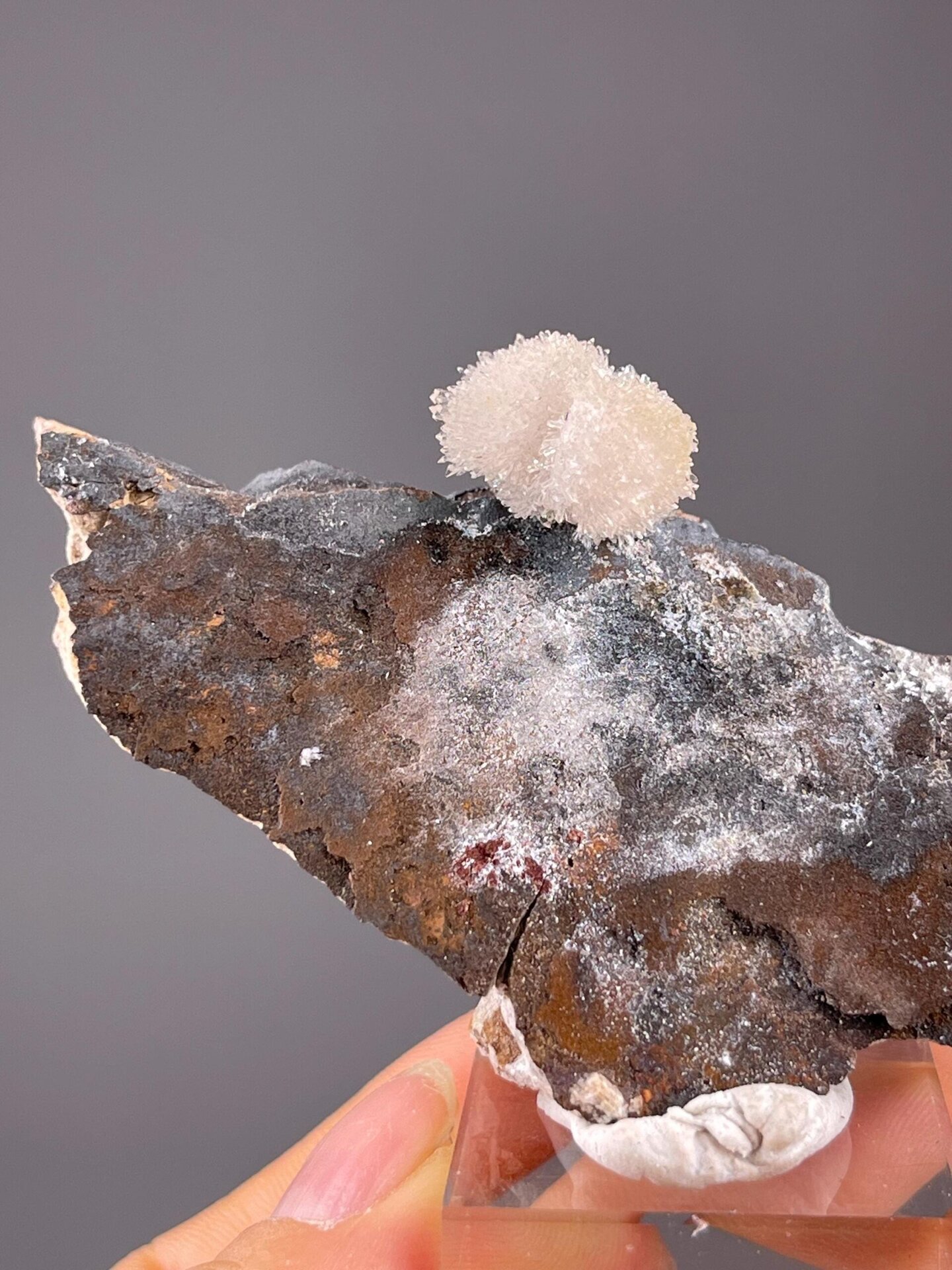 Selenite gypsum flower with radiating petal crystals on matrix