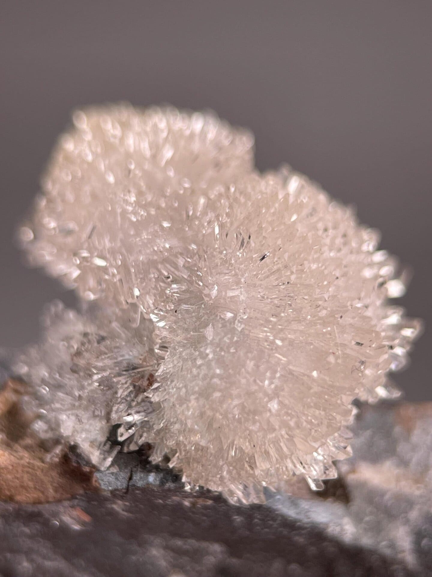 Delicate gypsum flower with monoclinic crystal symmetry