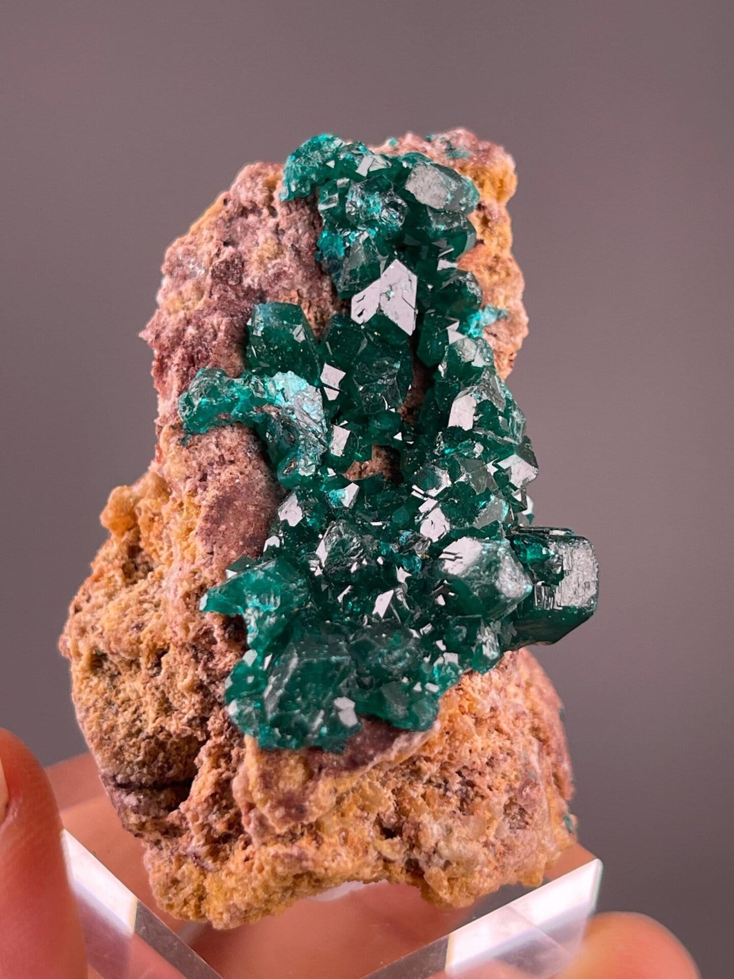 Congo dioptase crystal cluster, 1.59 oz, vitreous luster