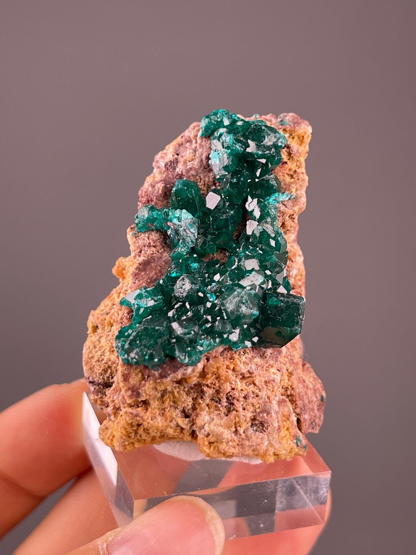Collector dioptase cluster from Democratic Republic of Congo