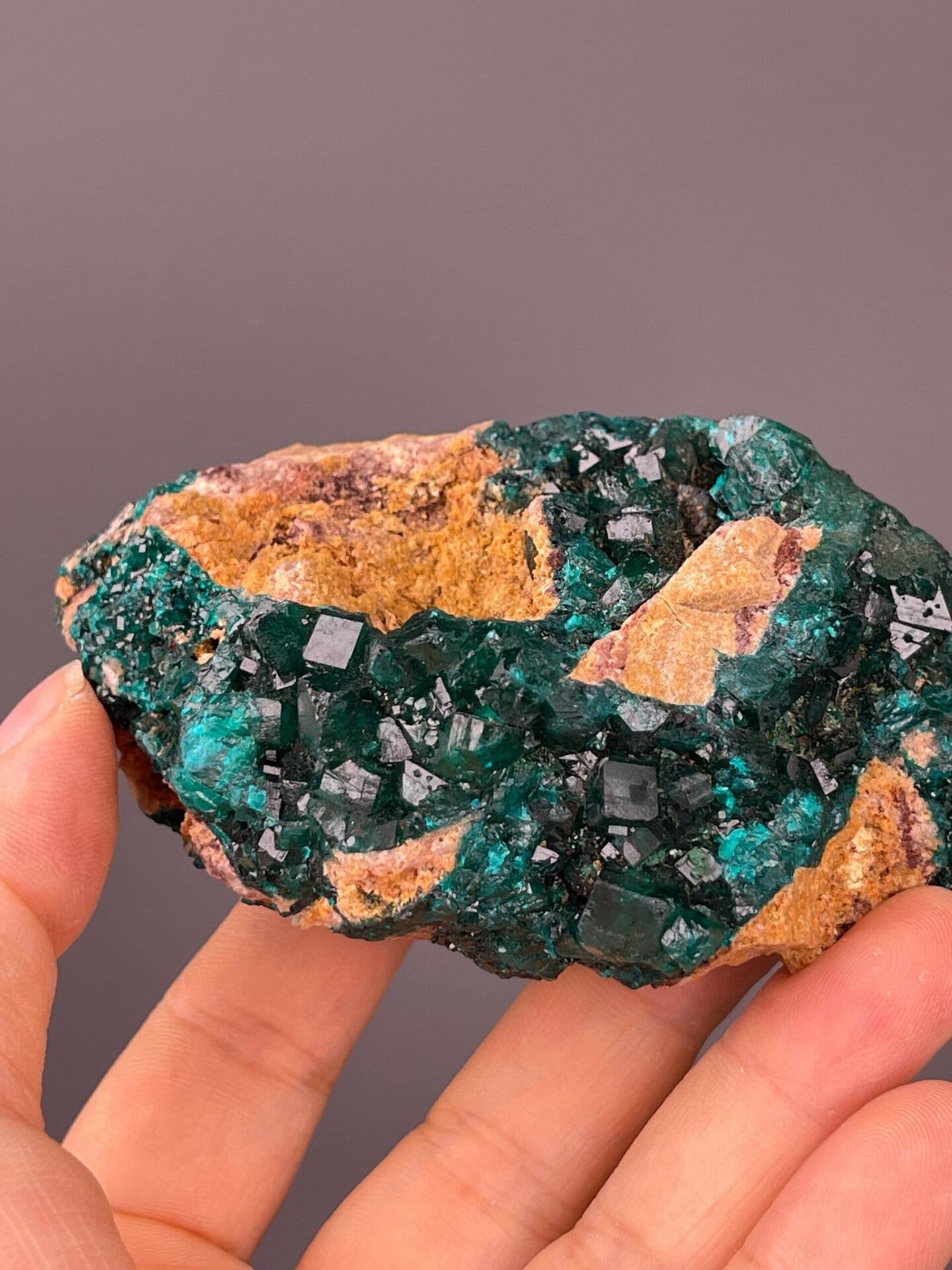 Moroccan dioptase on matrix, 7.41 oz, vitreous luster