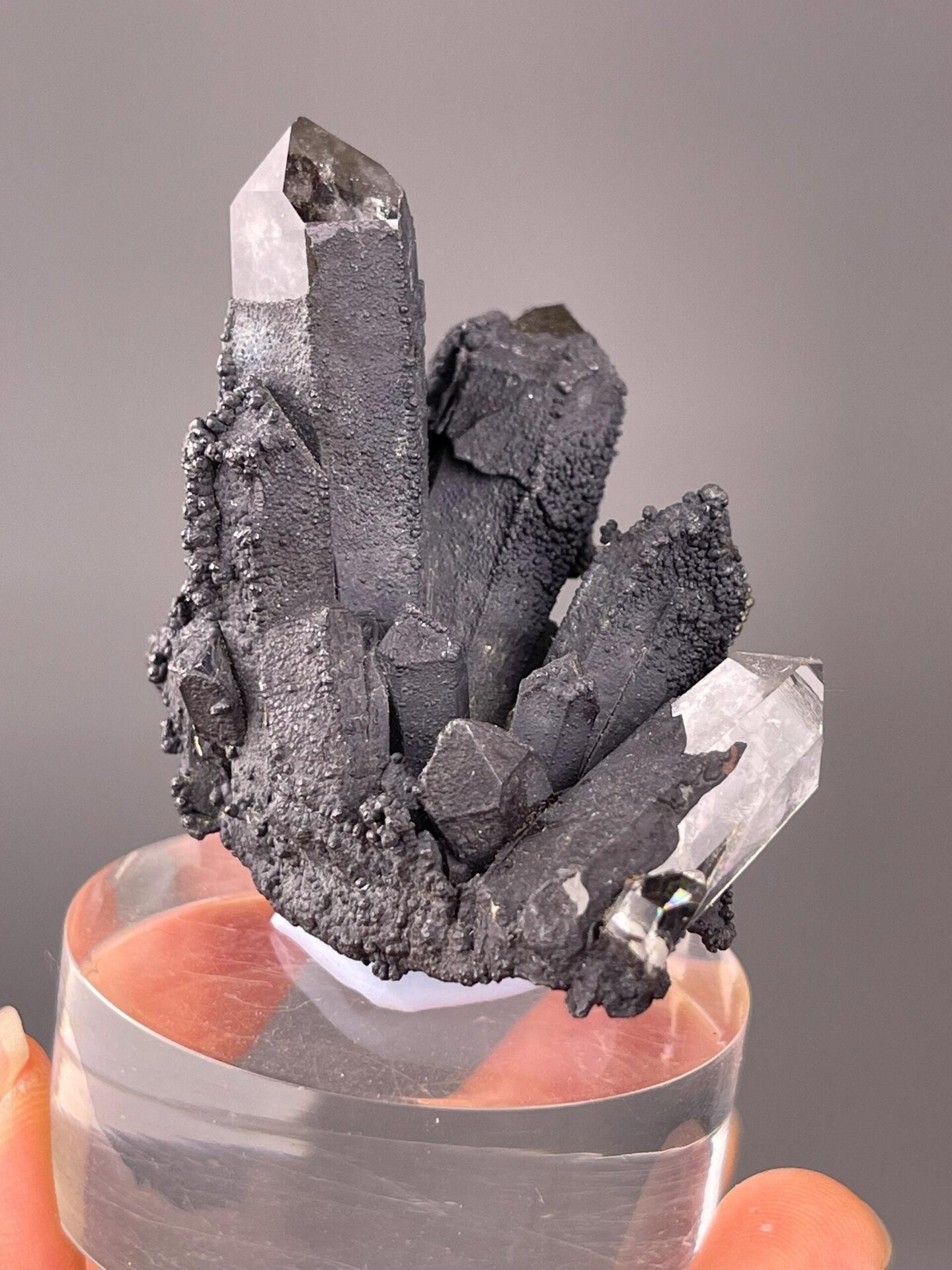Psilomelane with quartz crystals from Namibia, black and white contrast