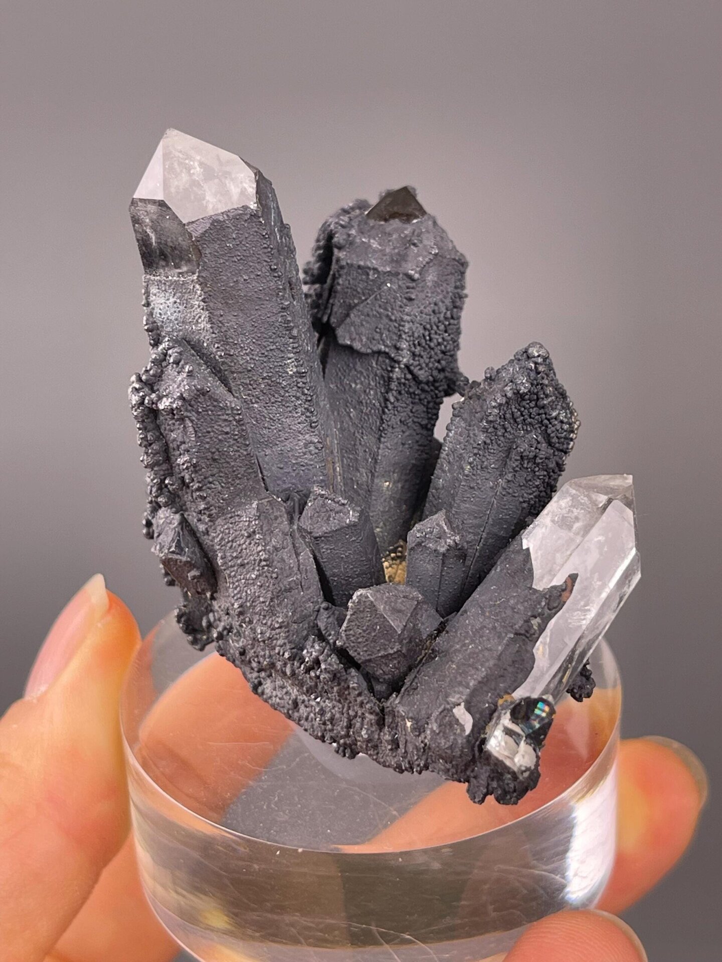 Collector psilomelane specimen with high-contrast quartz association