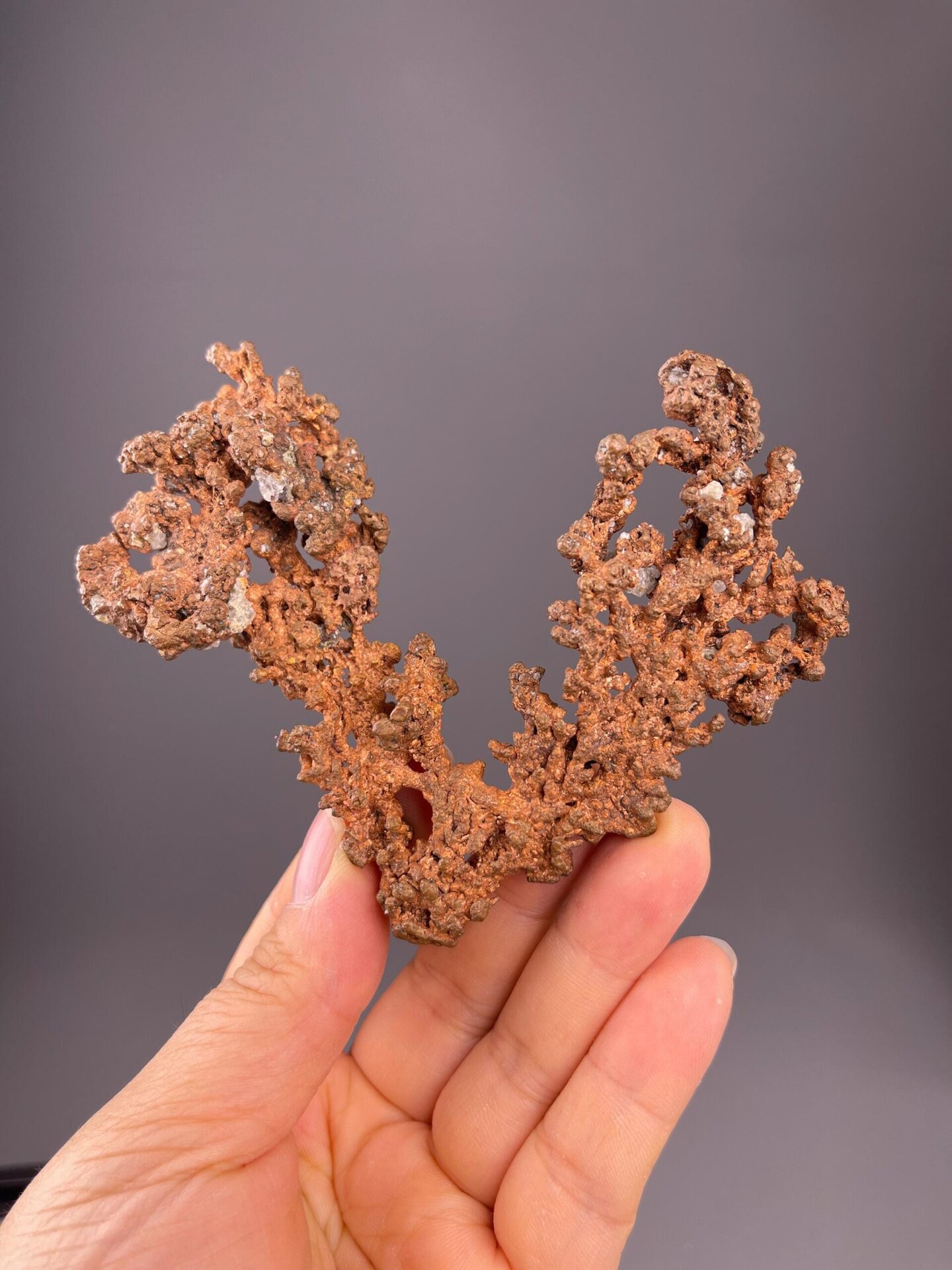 Copper-red native copper with branching tree-like growth form