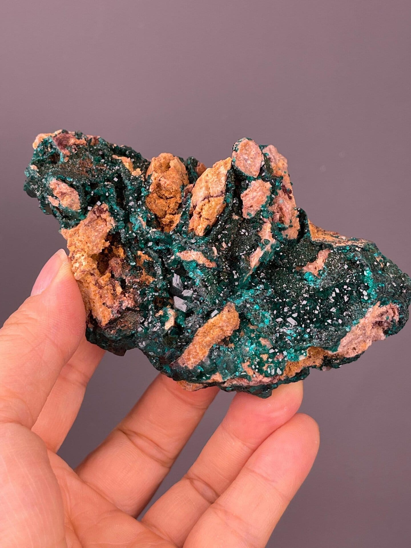 Collector dioptase specimen from Morocco with striking contrast