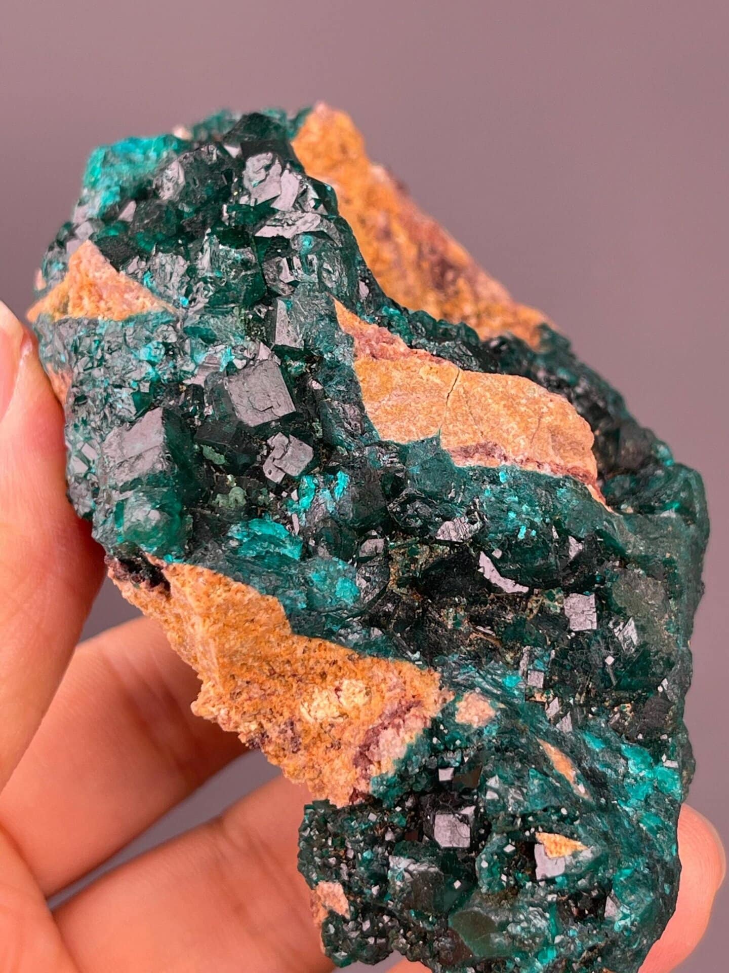 Dioptase crystal group on contrasting red-brown host rock