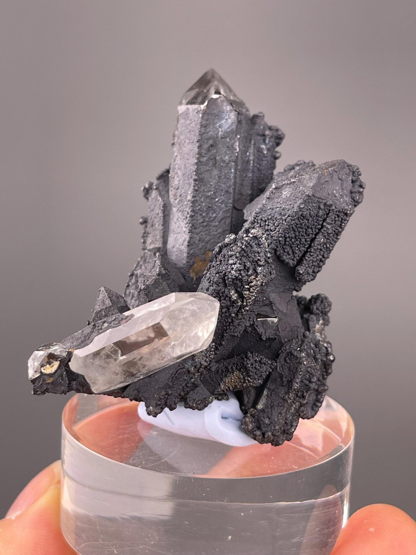 Botryoidal manganese oxide psilomelane with clear quartz association