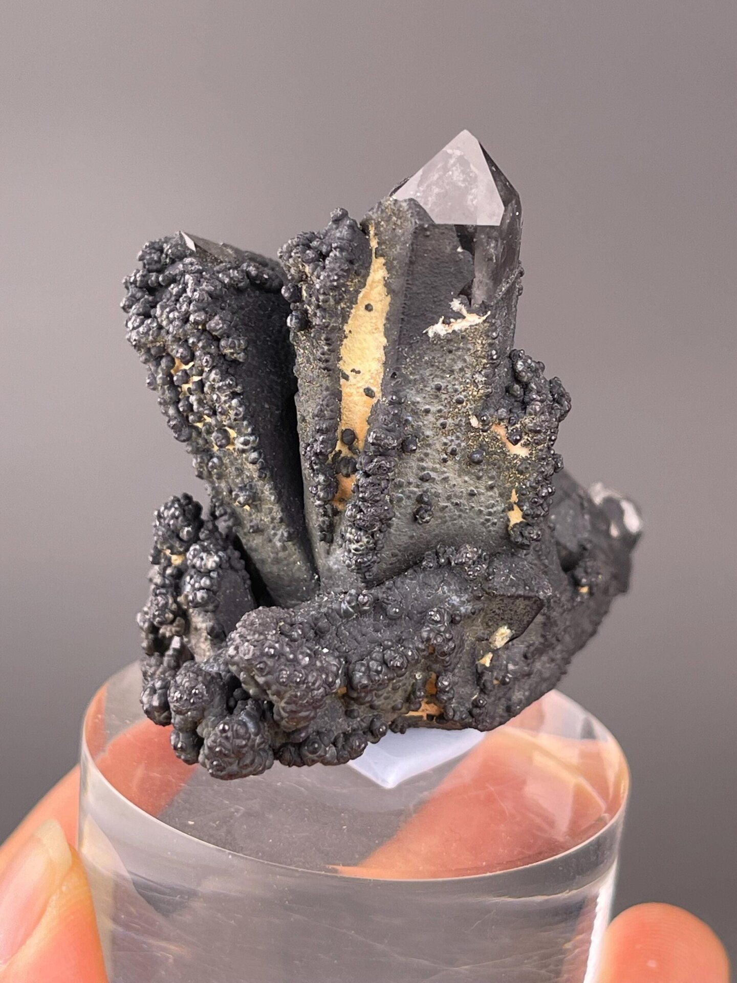 Botryoidal psilomelane with intergrown transparent quartz crystals