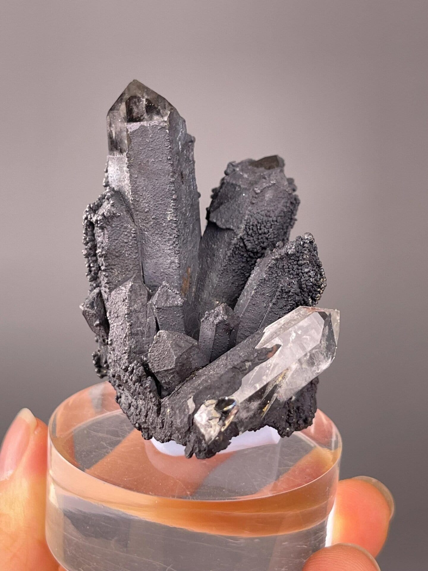 Black psilomelane with white quartz crystal contrast, Namibia