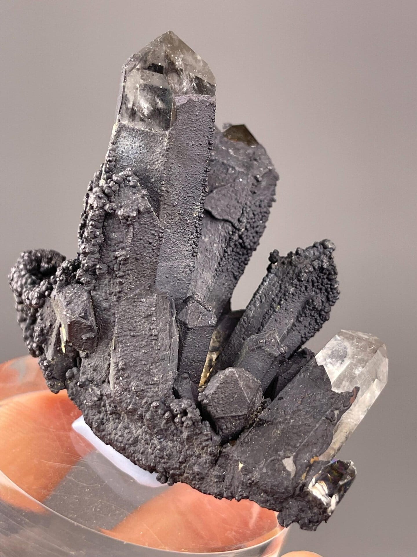 Manganese oxide mineral with submetallic luster and quartz