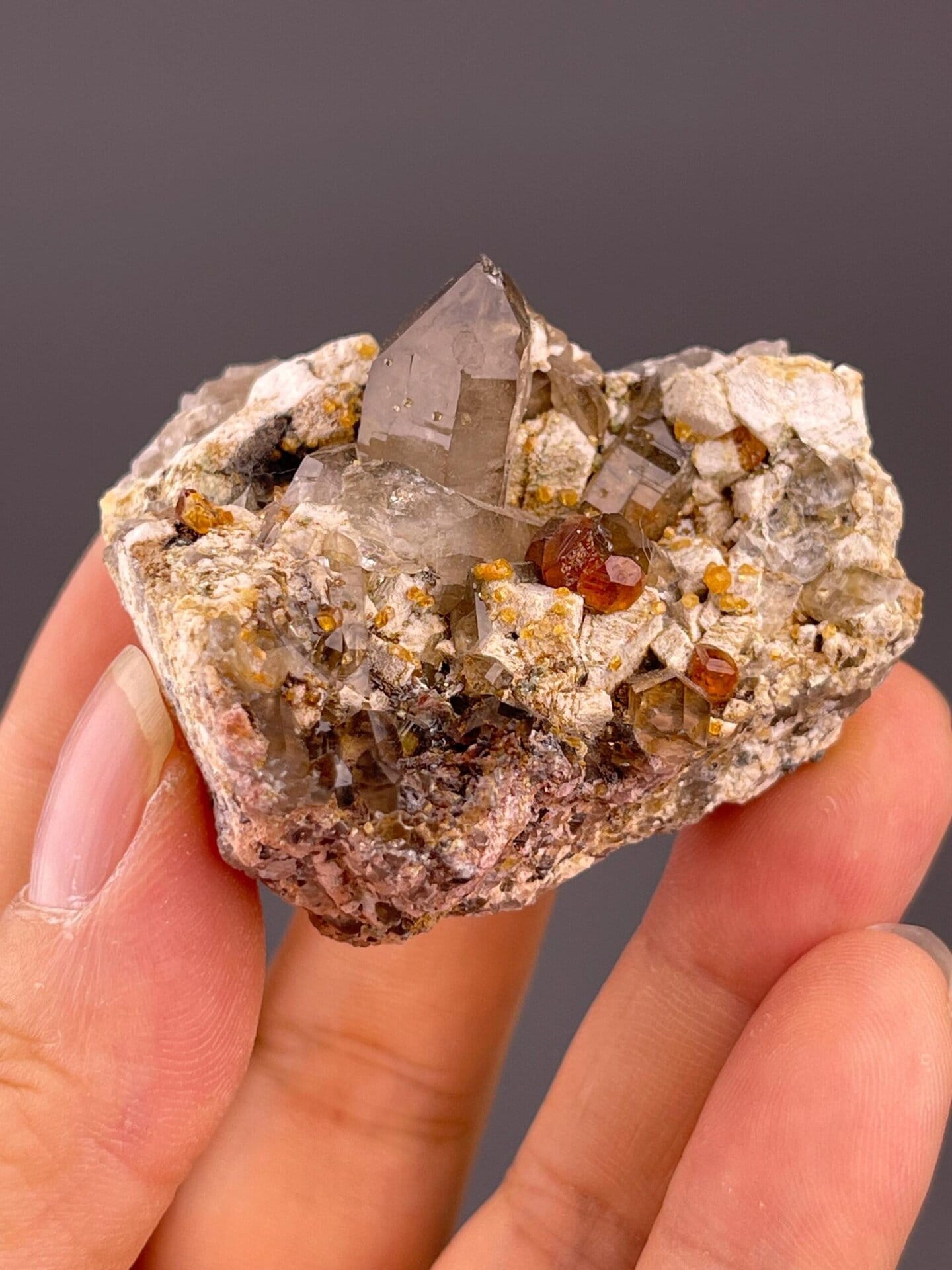 Multi-mineral association of quartz, garnet, and dolomite