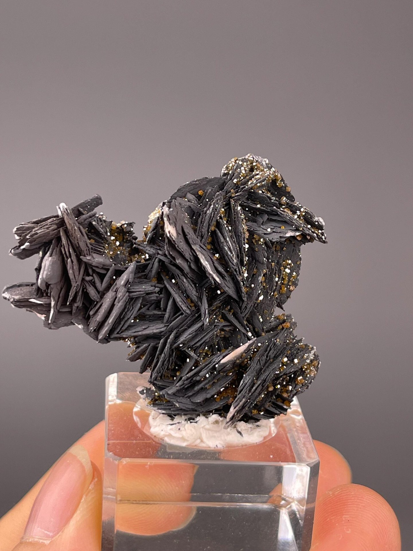 Close-up of black barite blades with vanadinite crystals