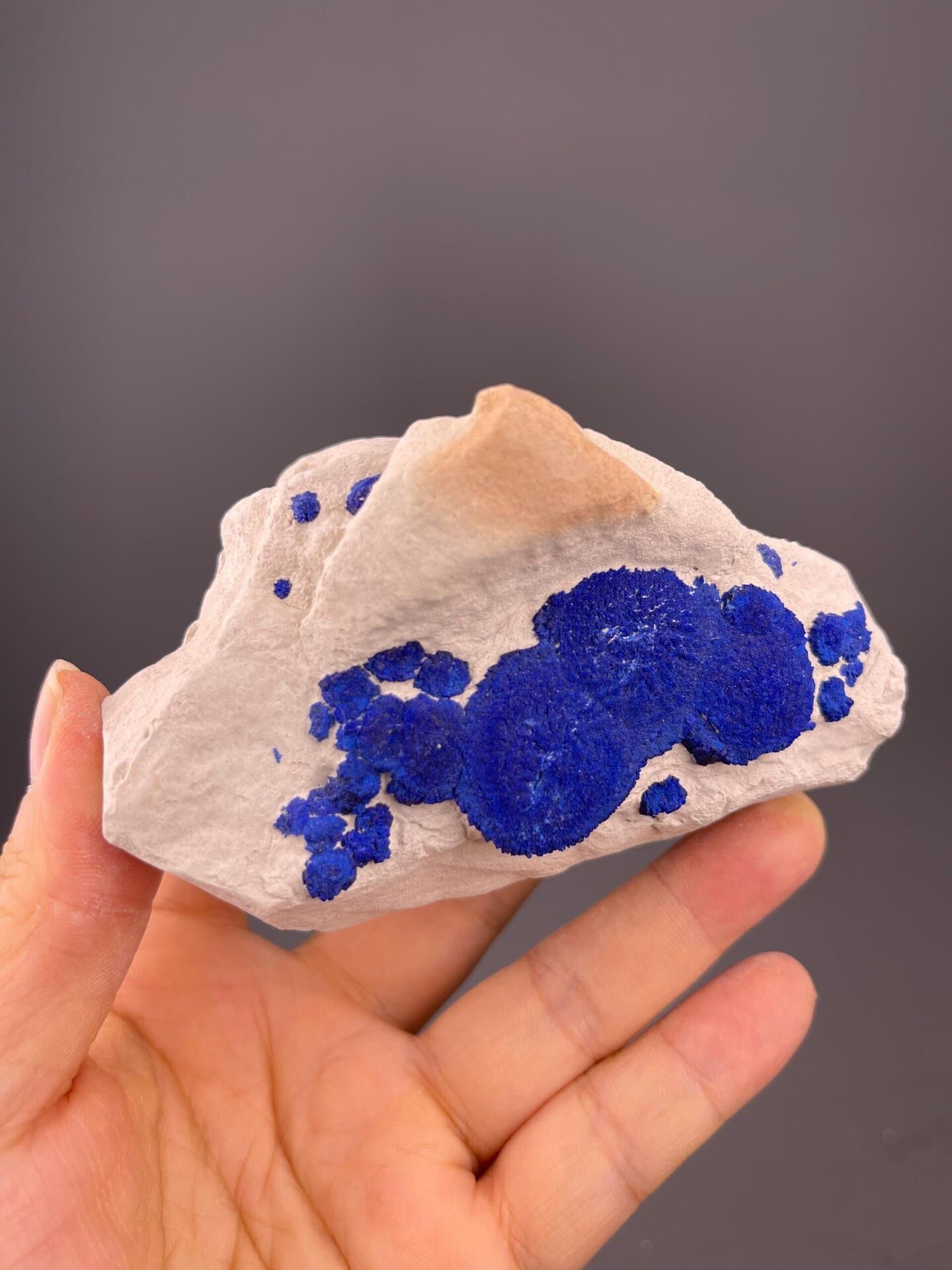 Vivid royal-blue azurite rosette cluster from Australia