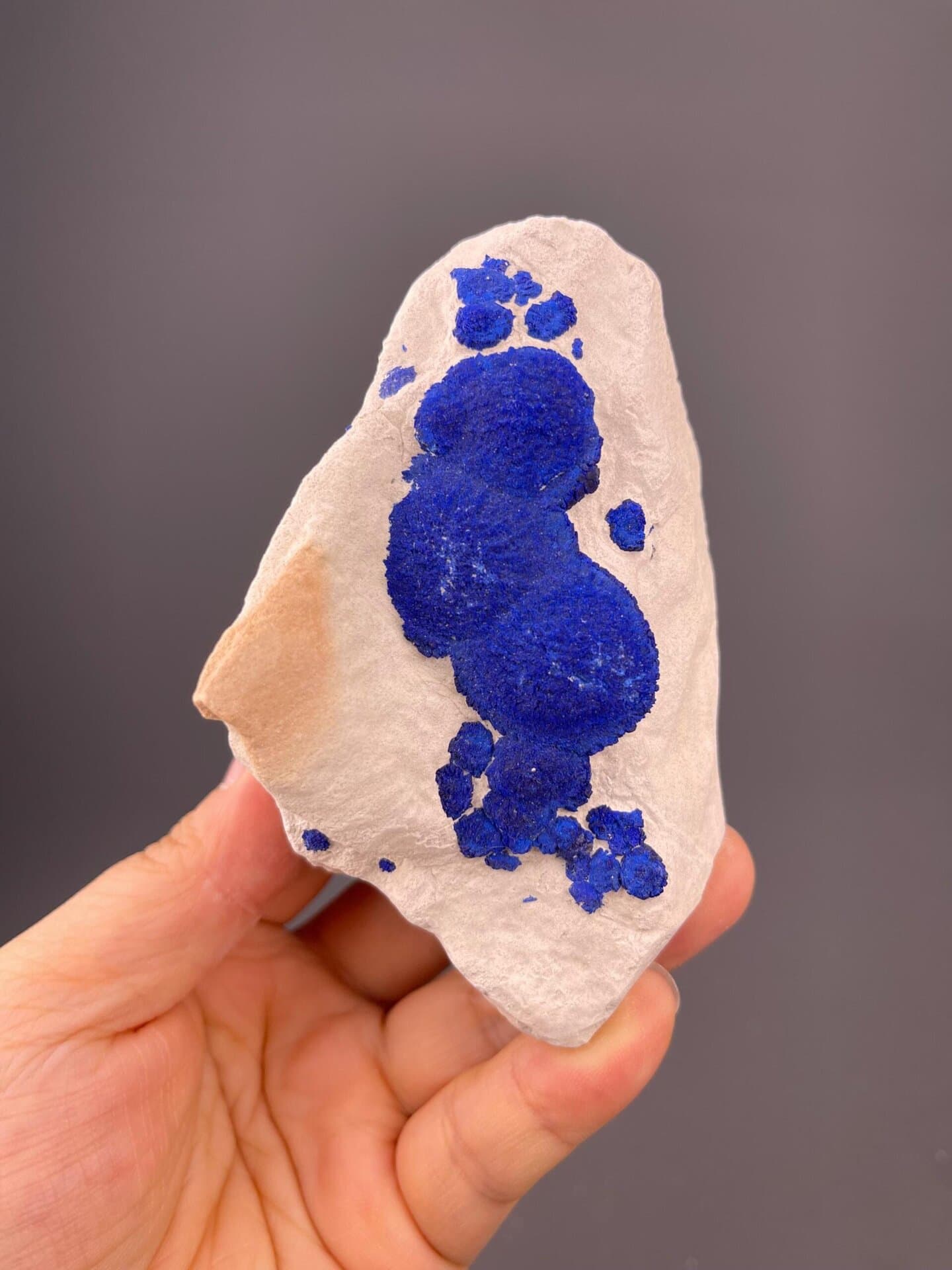 Front view of azurite rosette cluster showing vivid blue colour