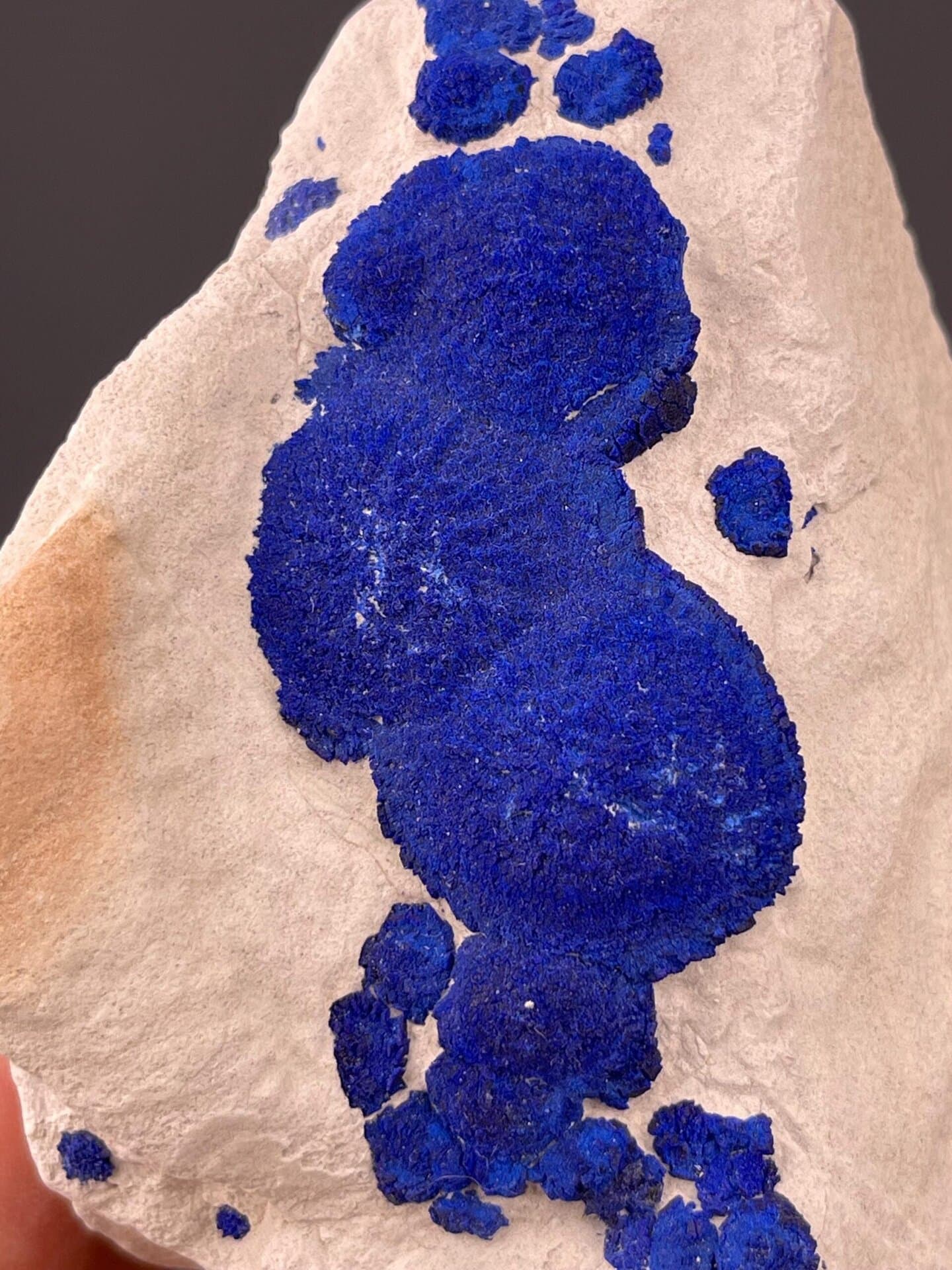 Back view of Australian azurite rosette cluster