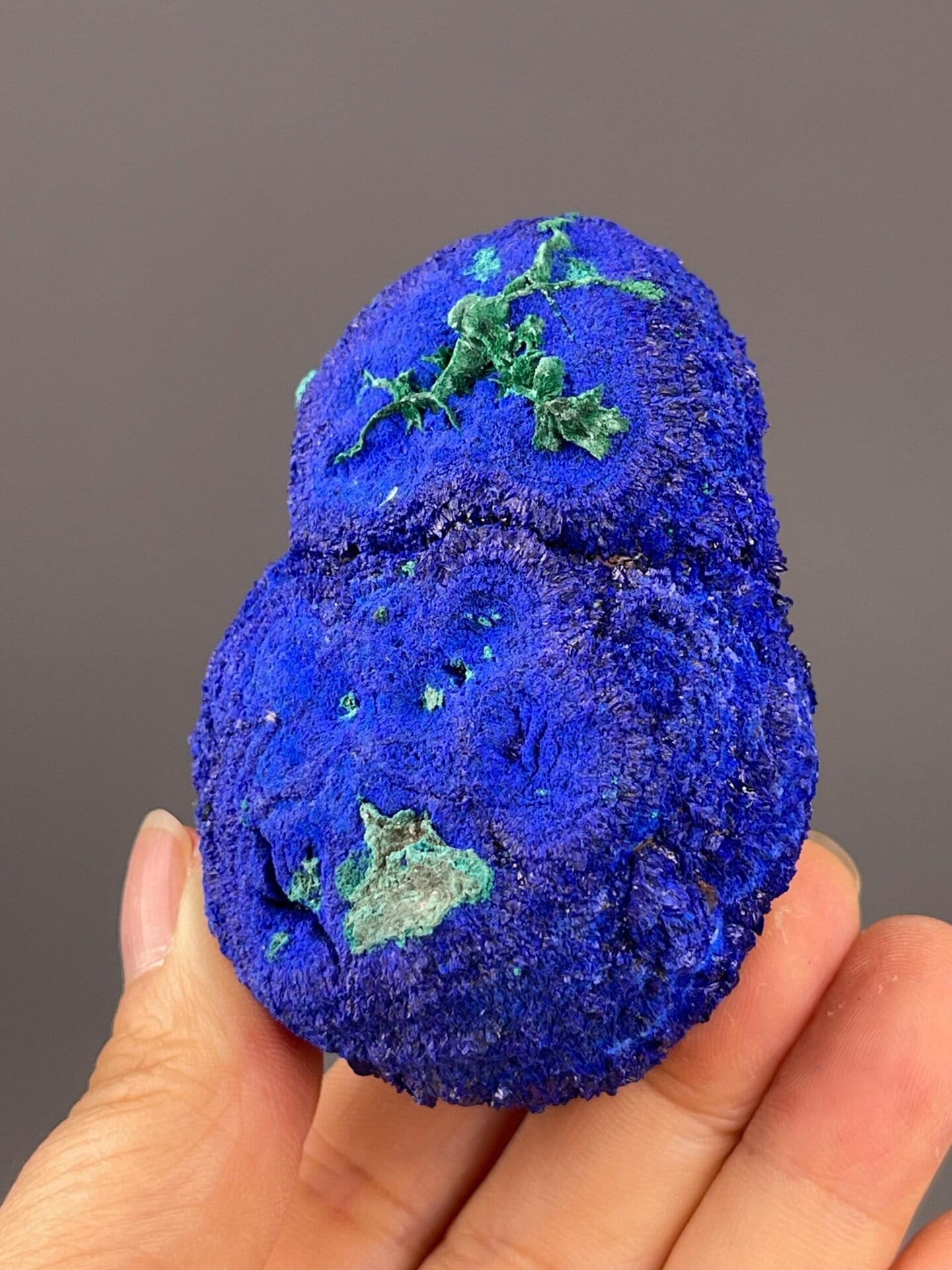 Museum-grade azurite with malachite alteration from China