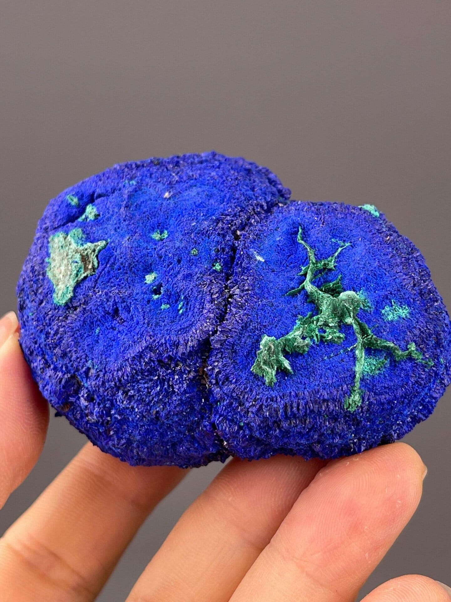 Detail of azurite crystal rosettes with malachite alteration