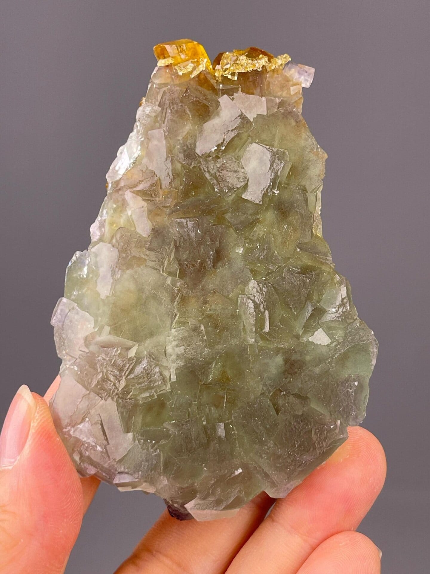 Angled view highlighting golden fluorite against baryte