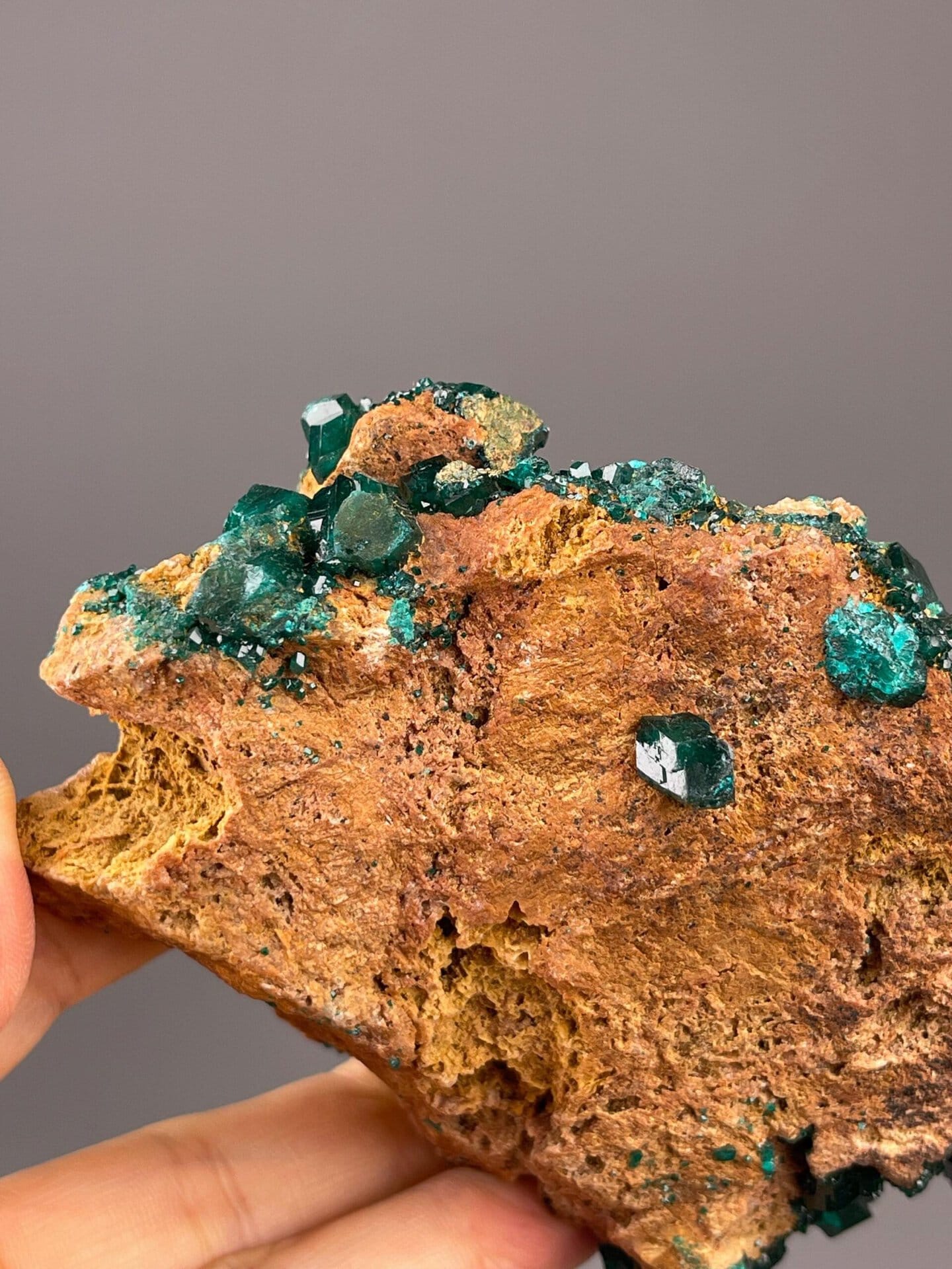 Back view of Congo DRC dioptase on limonite matrix