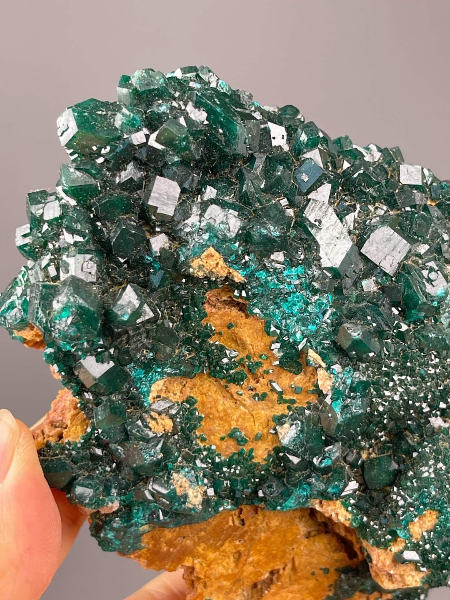 Emerald-green dioptase cluster on limonite, Congo, DRC