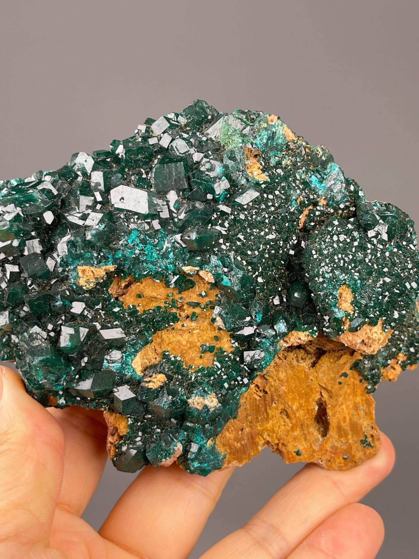Angled view of dioptase cluster on limonite matrix