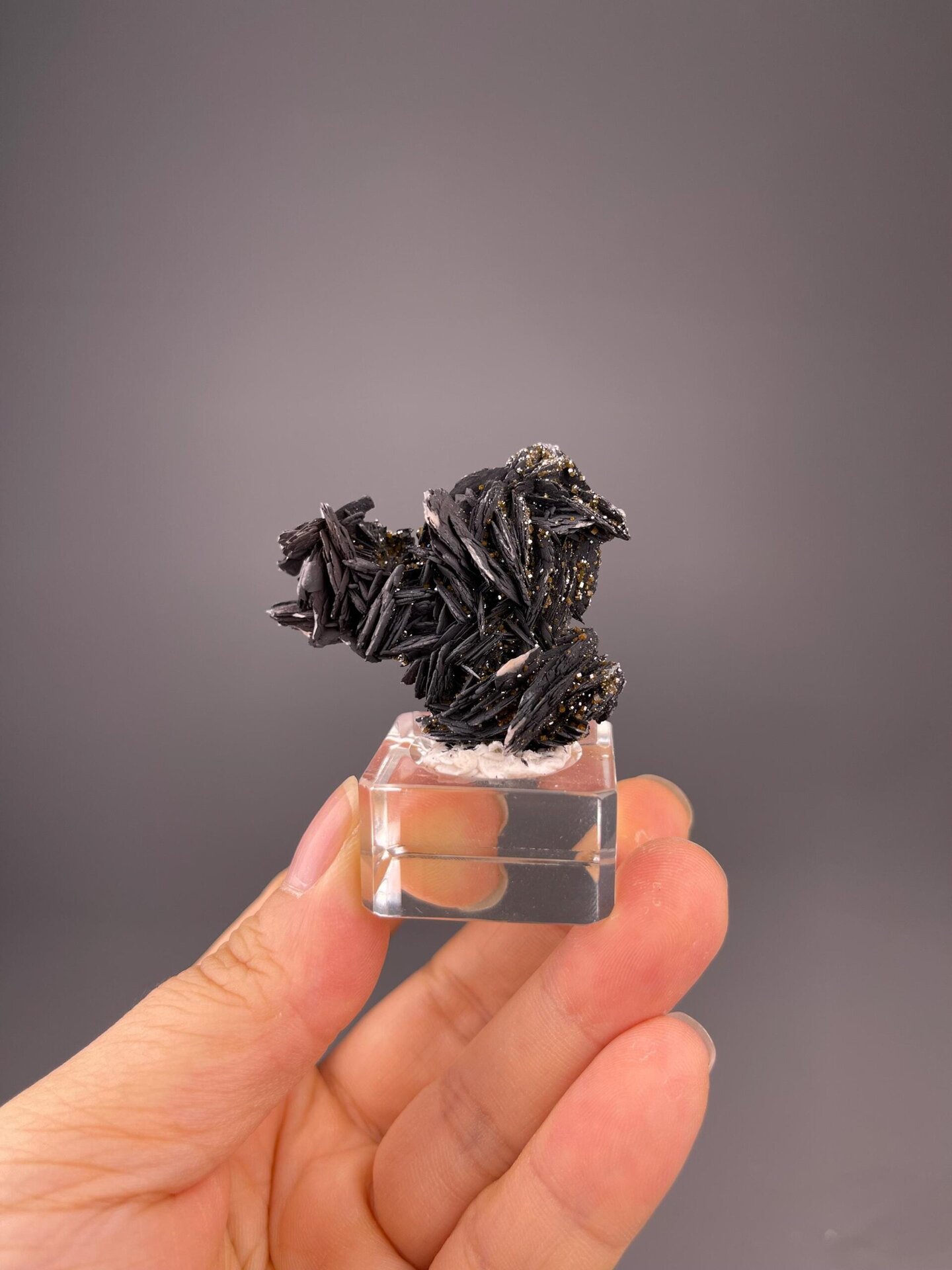 Front view showing jet-black barite and red vanadinite contrast