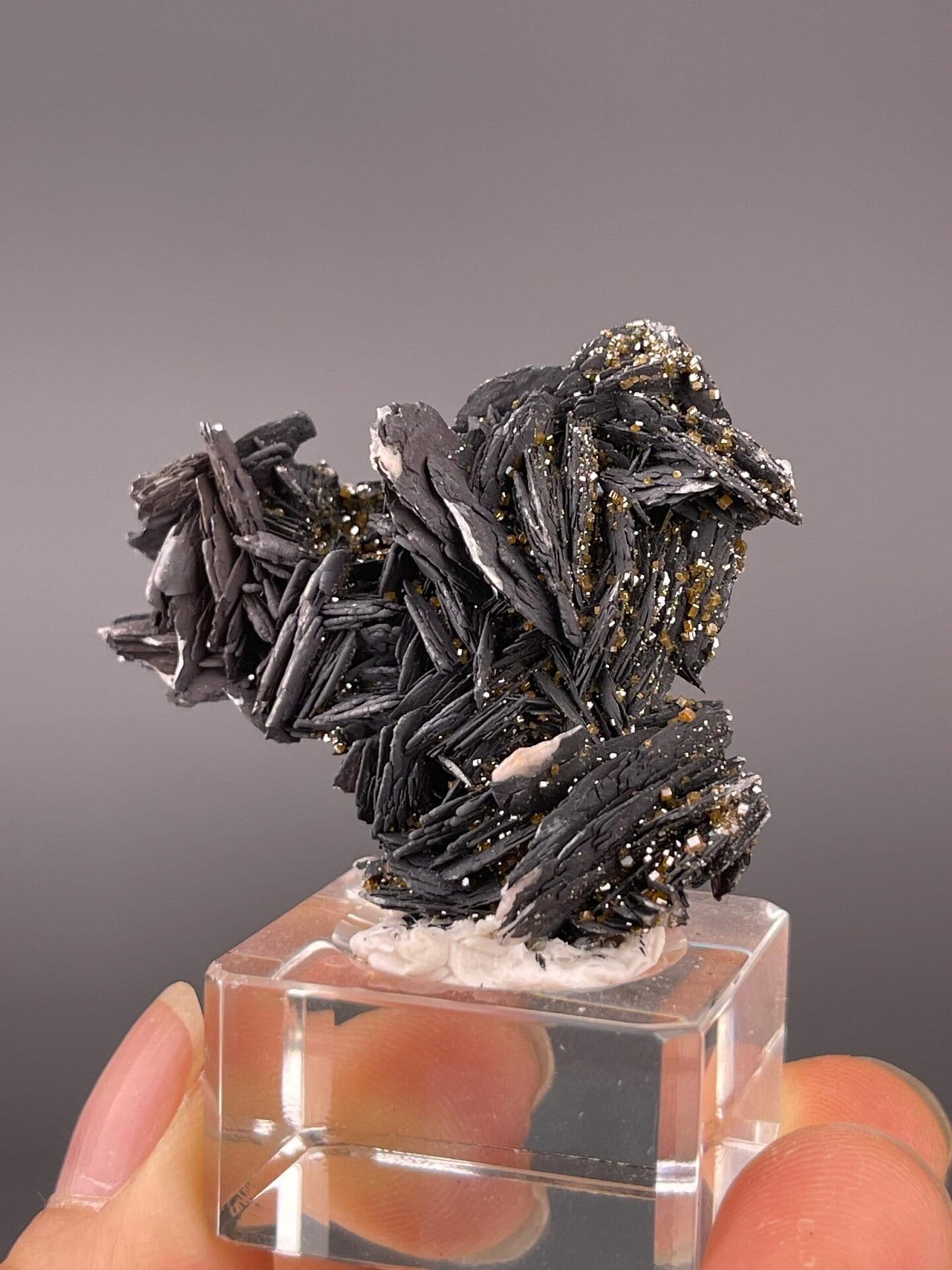 Black barite blades with red vanadinite crystals from Morocco