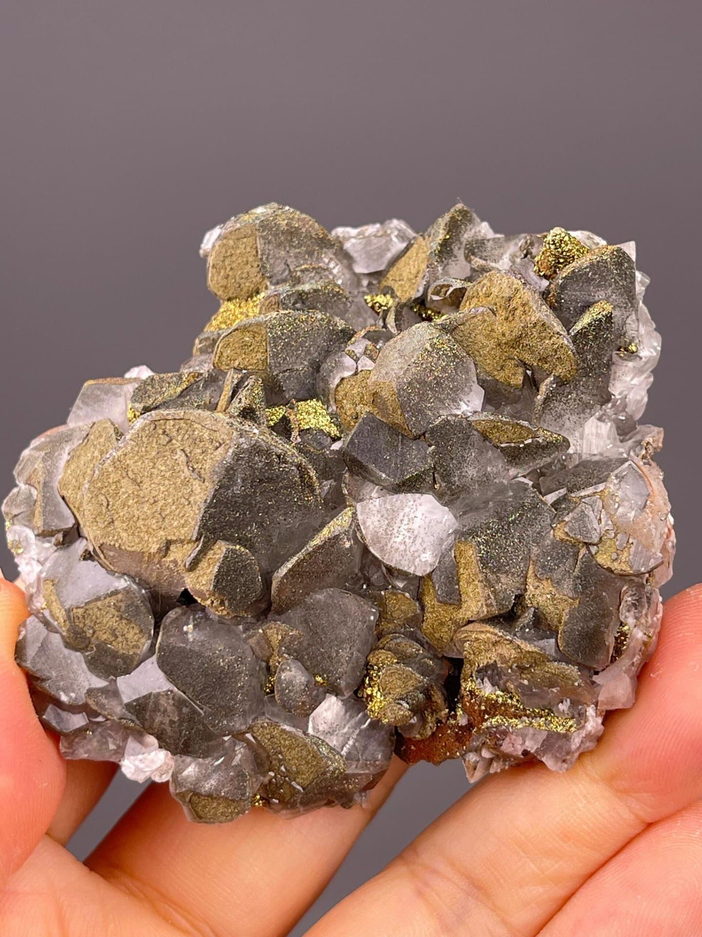 Top view of calcite-pyrite Mercedes formation