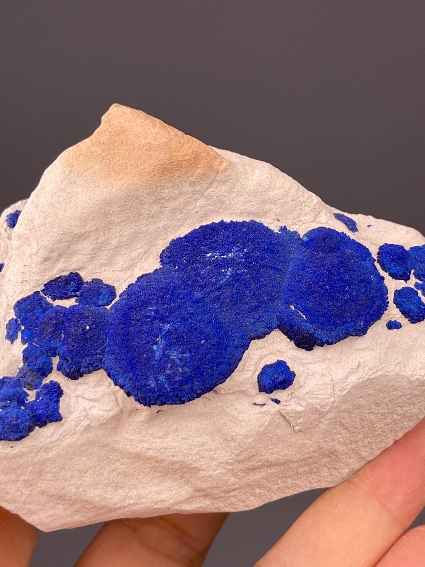 Close-up of azurite rosette formations showing royal blue