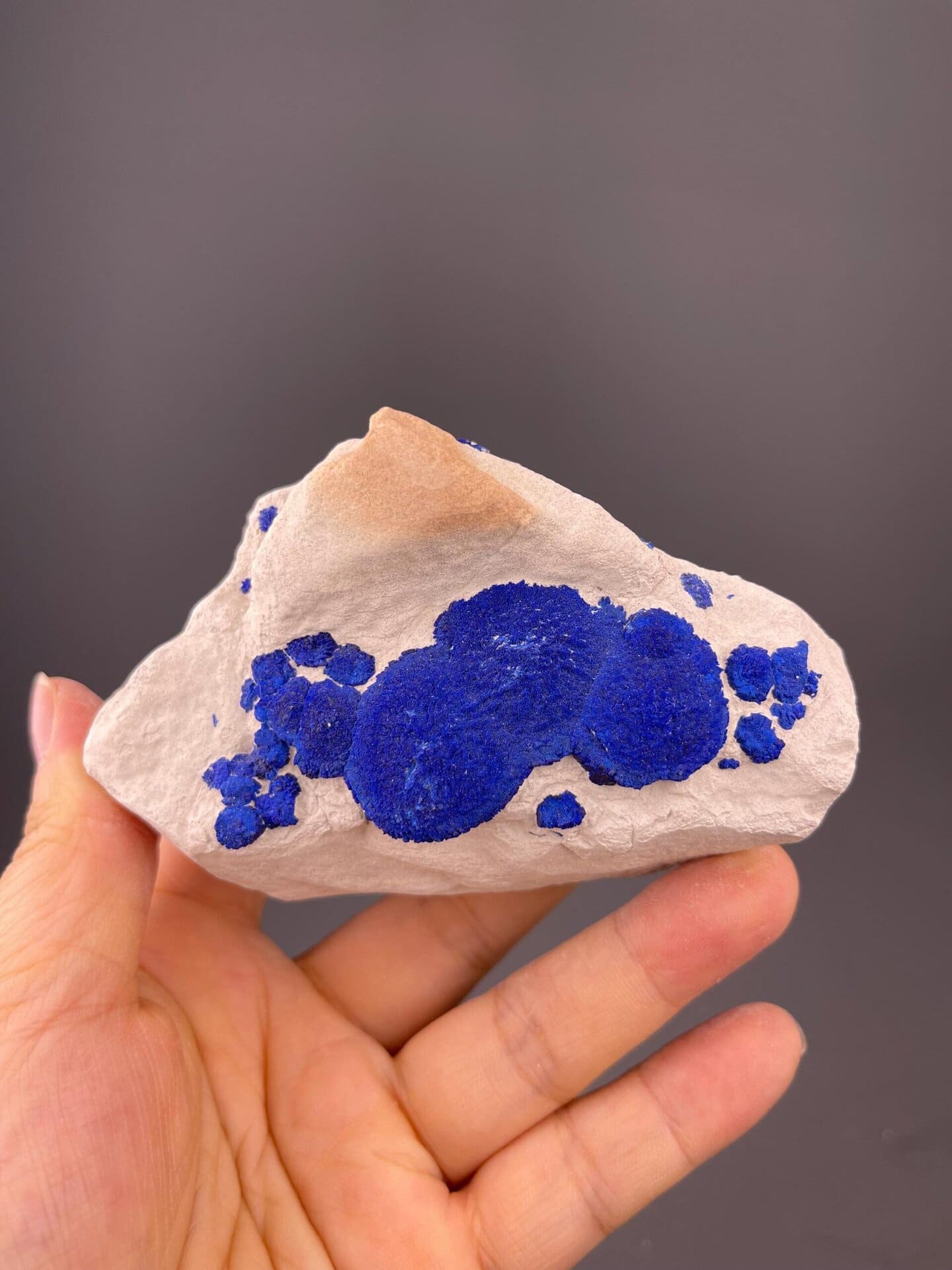 Vivid royal-blue azurite rosette formations from Australia