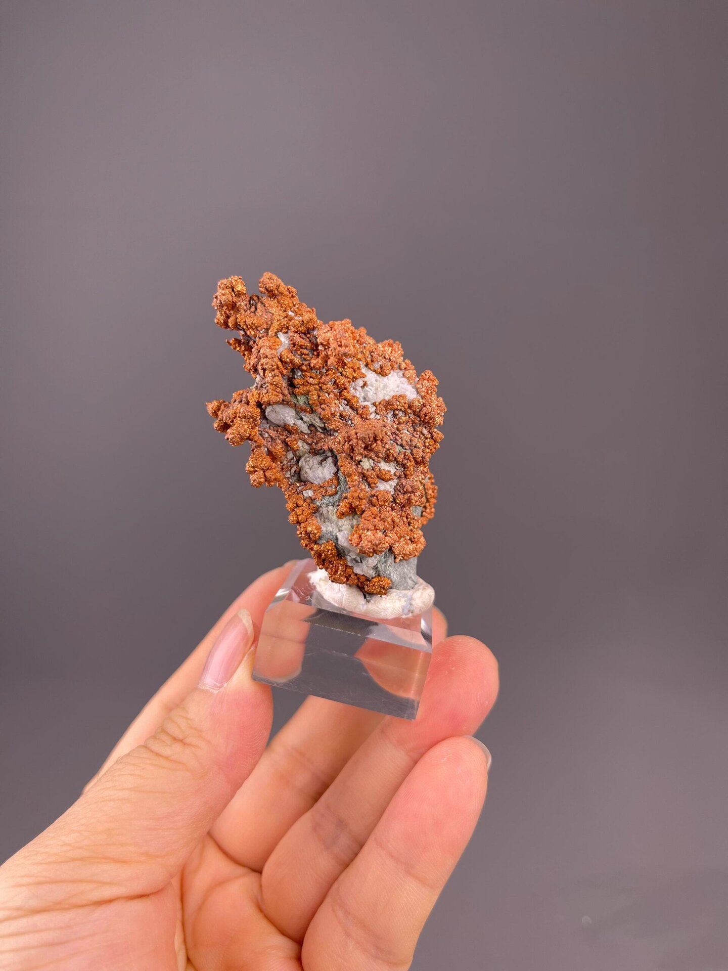 Top view of dendritic copper crystal arrangement