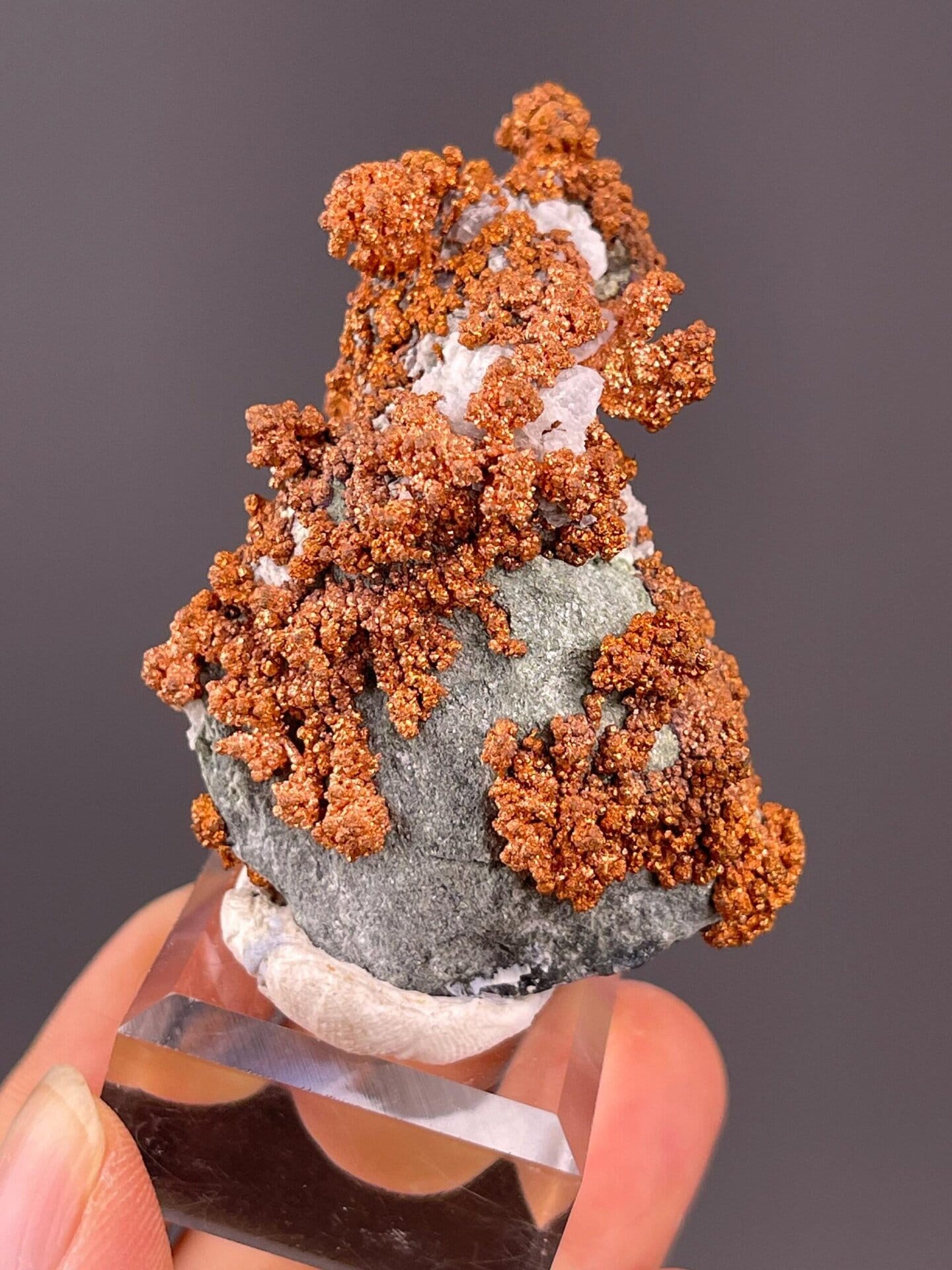 Front view of native copper showing branching crystal habit