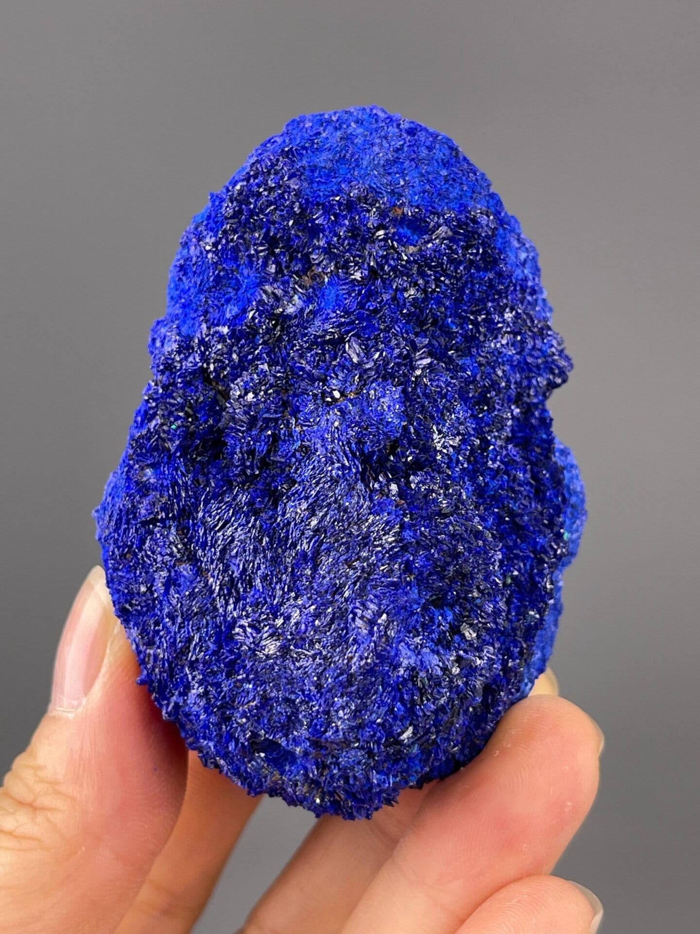 Top view of azurite with malachite alteration pattern