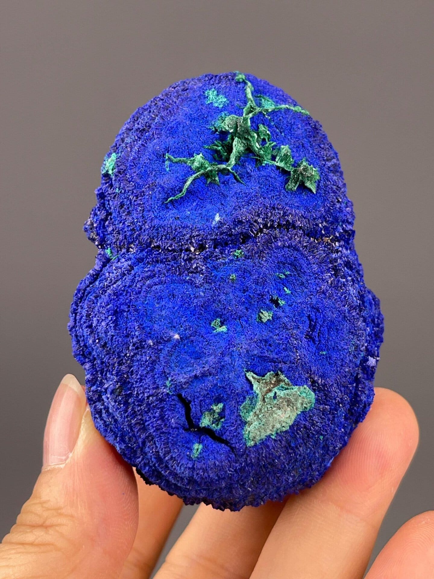 Close-up of azurite crystals showing deep royal blue