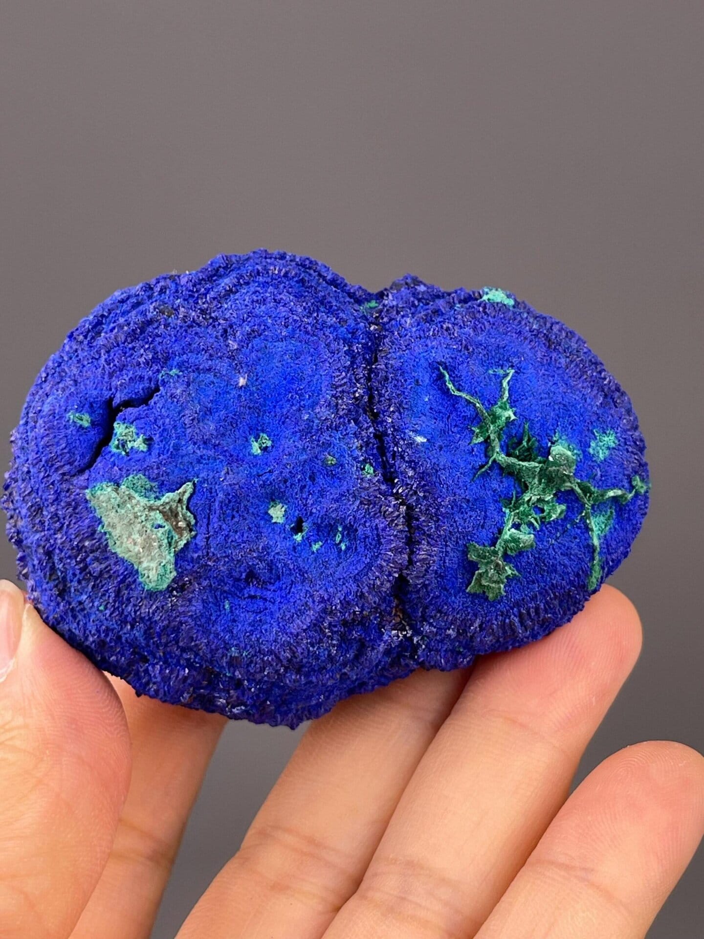 Angled view showing azurite-malachite colour contrast