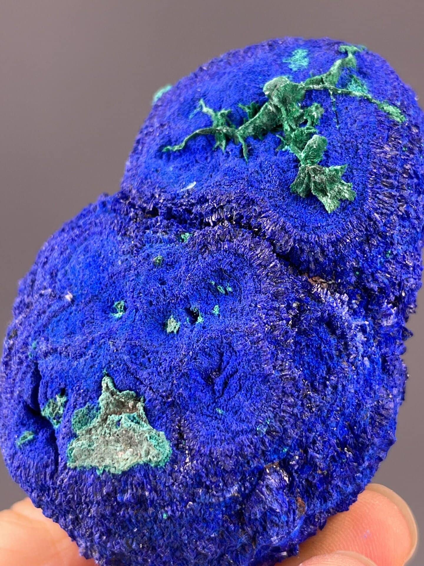Museum-grade azurite-malachite from China, 215 g display specimen